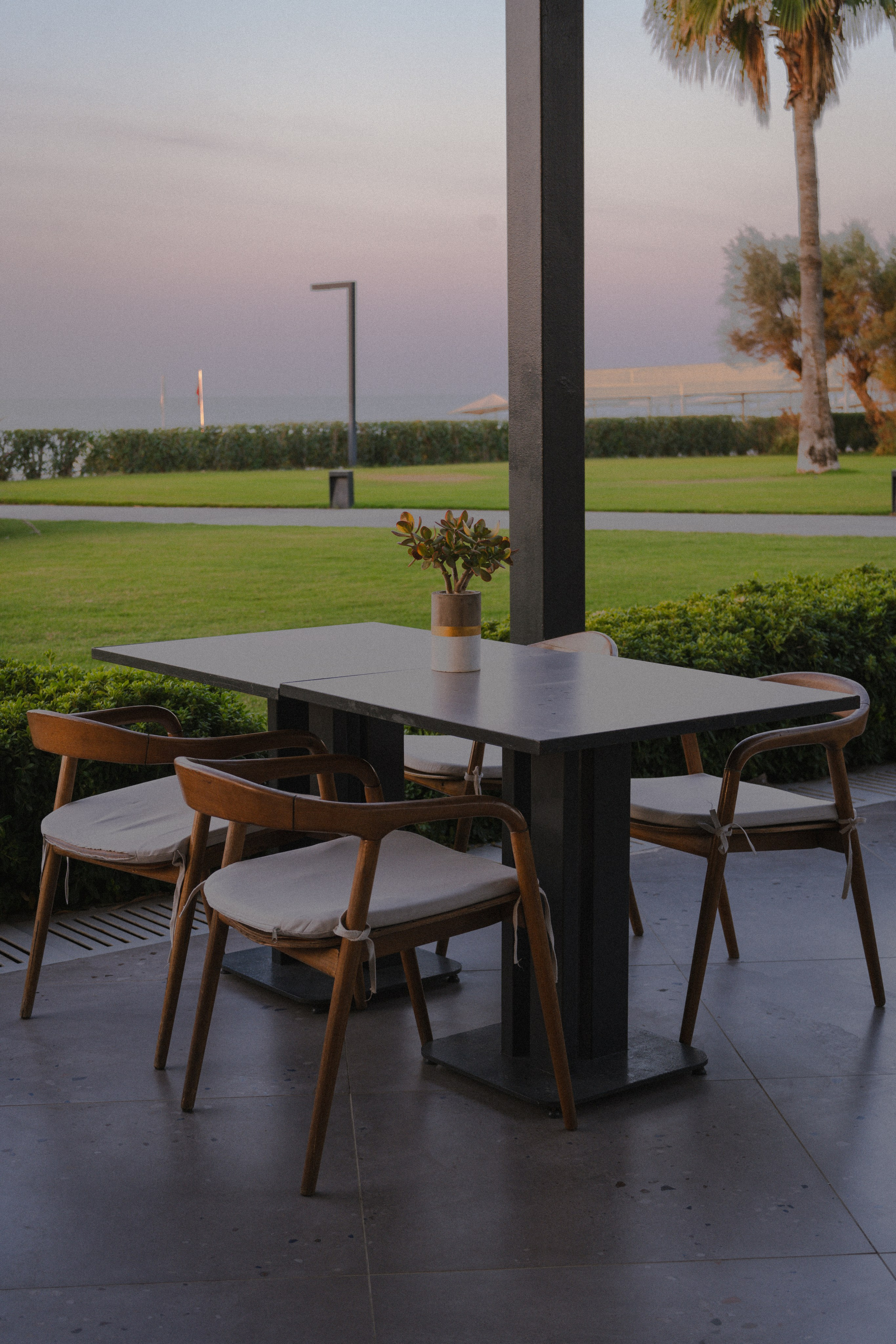 Paloma Finesse. Professional photographer and videographer specializing in filming hot