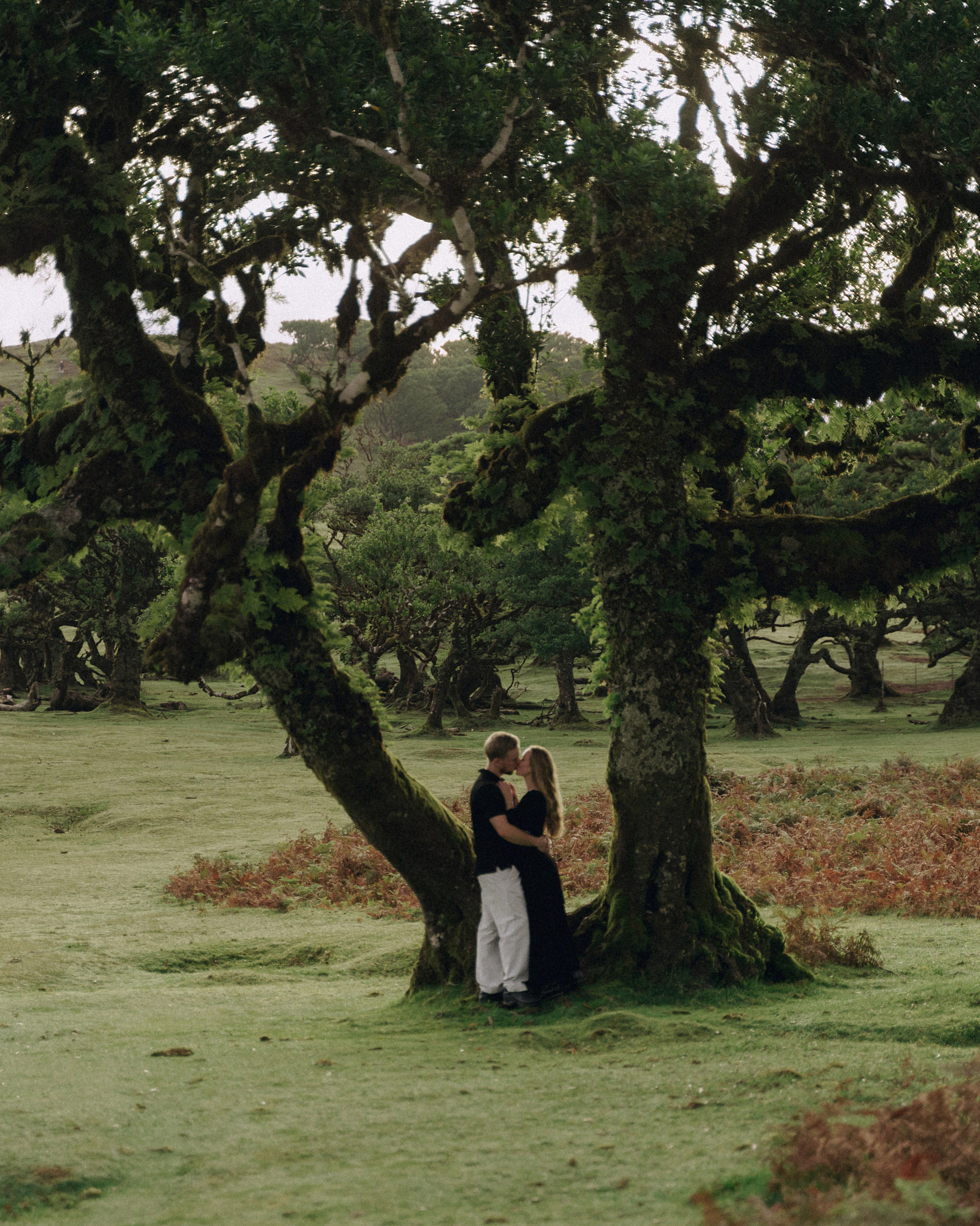 Marina & Nick — Fanal Forest Love Story | Madeira Photographer. Your photographer in Madeira