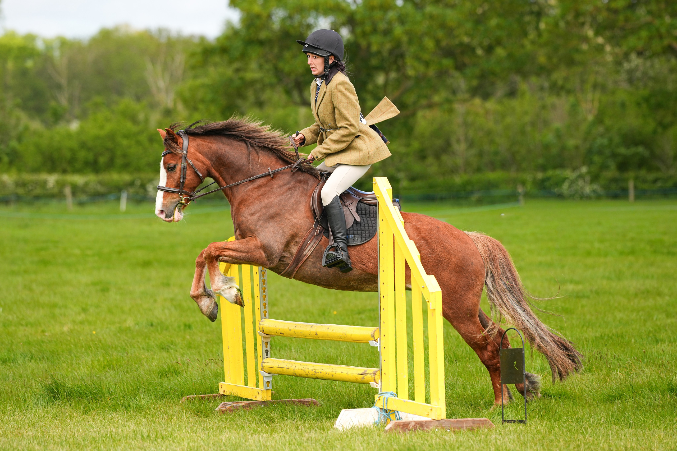 Show Jumping Photography in Leicestershire | Equine Action Shots by El. Leicestershire Equine Photography by El | Authentic Equine Portraits & Events