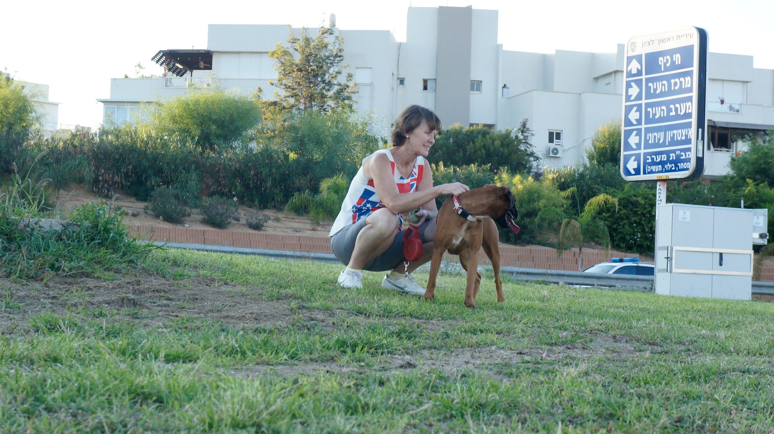 My ״Star״ Boxer Dog