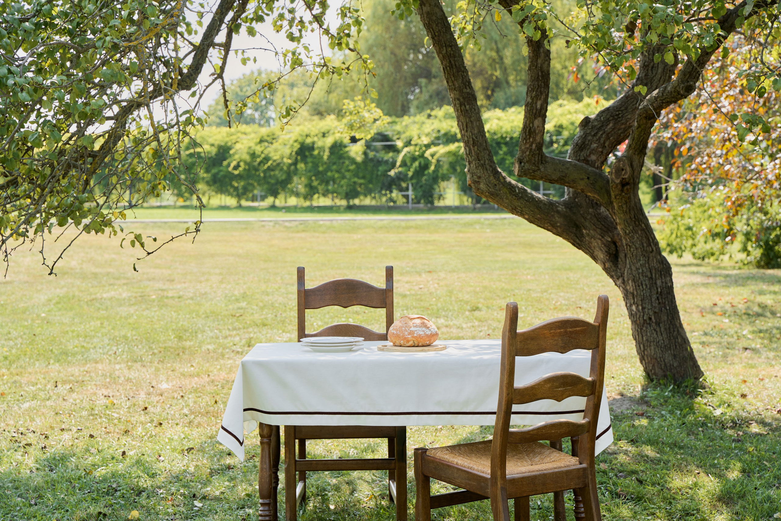 Monmanor. Привет