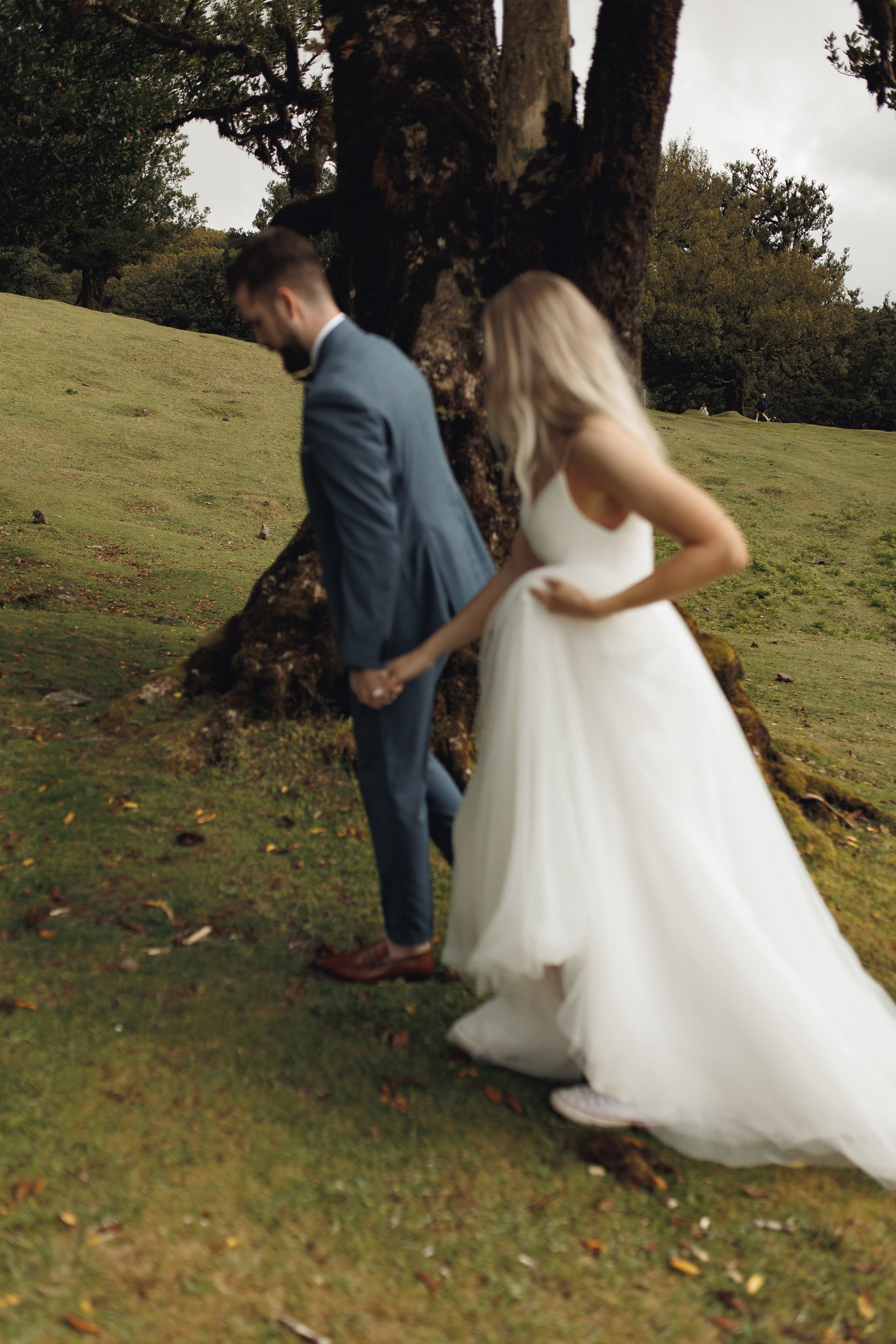 Elopement in Madeira | Mystical Forest of Fanal. Wedding photographer and videographer based in Timisoara, Romania