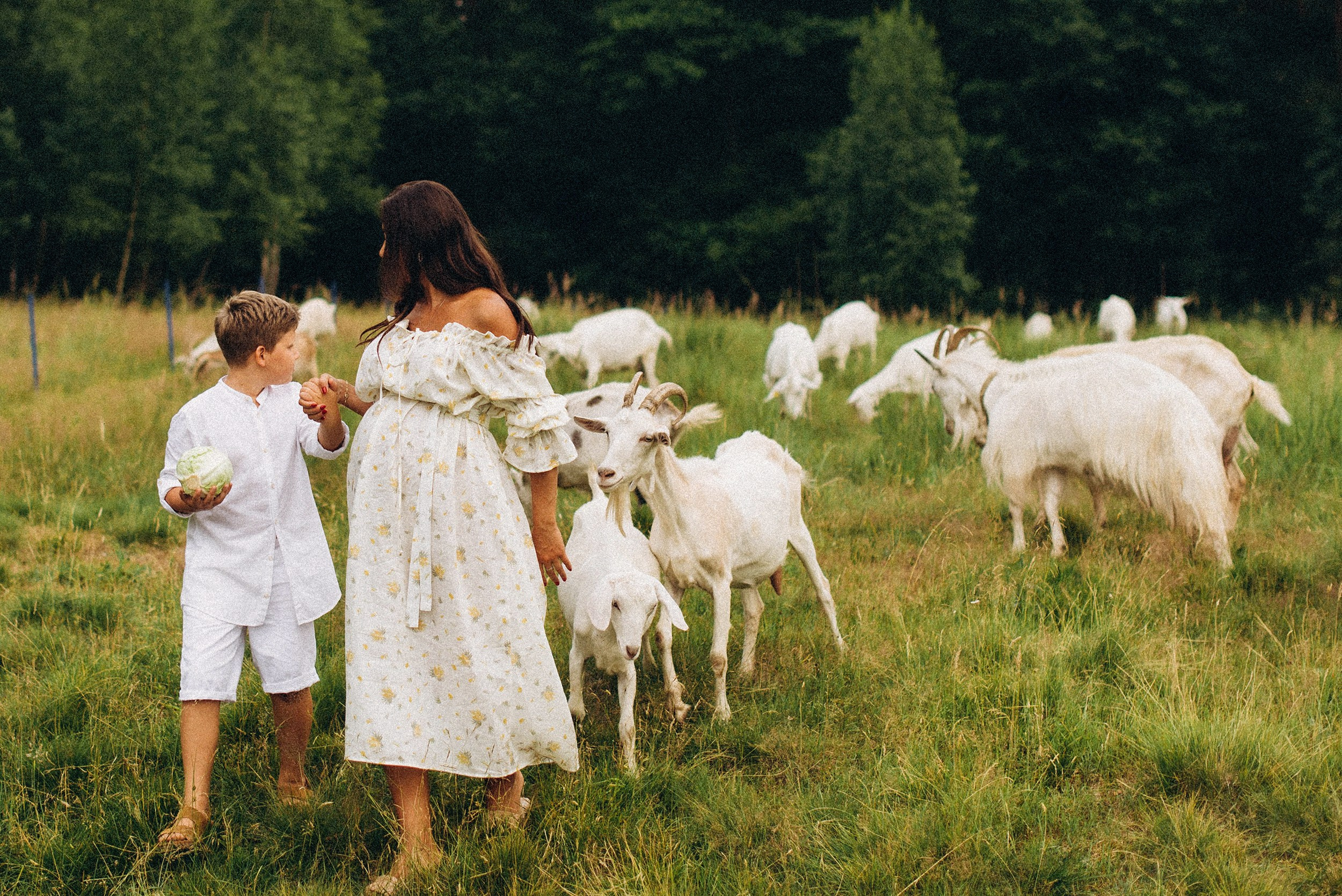 Беременность на природе. Семейный фотограф Лейпциг, Германия