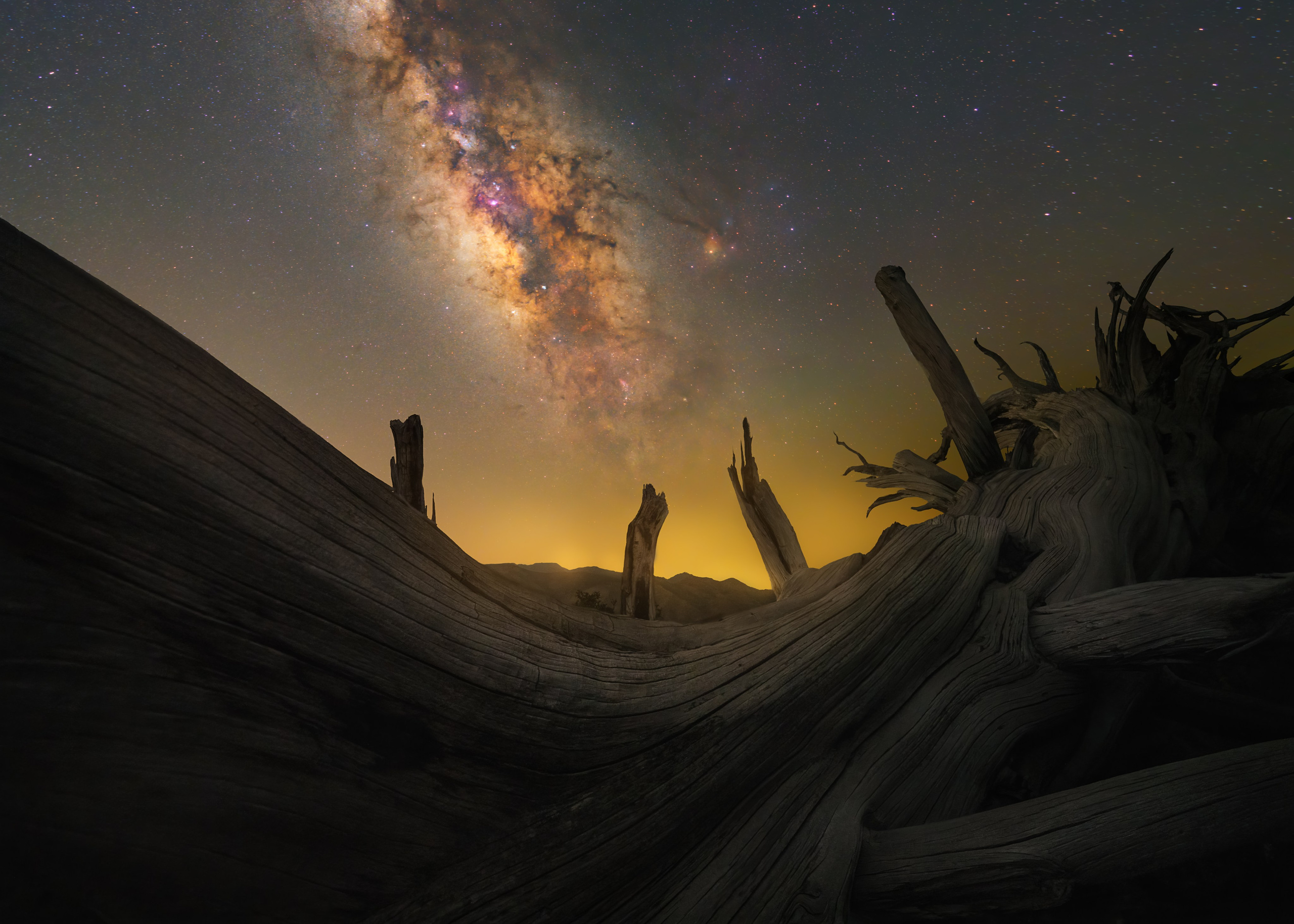 NATURE & LANDSCAPE. Alireza Sahebi Photographer