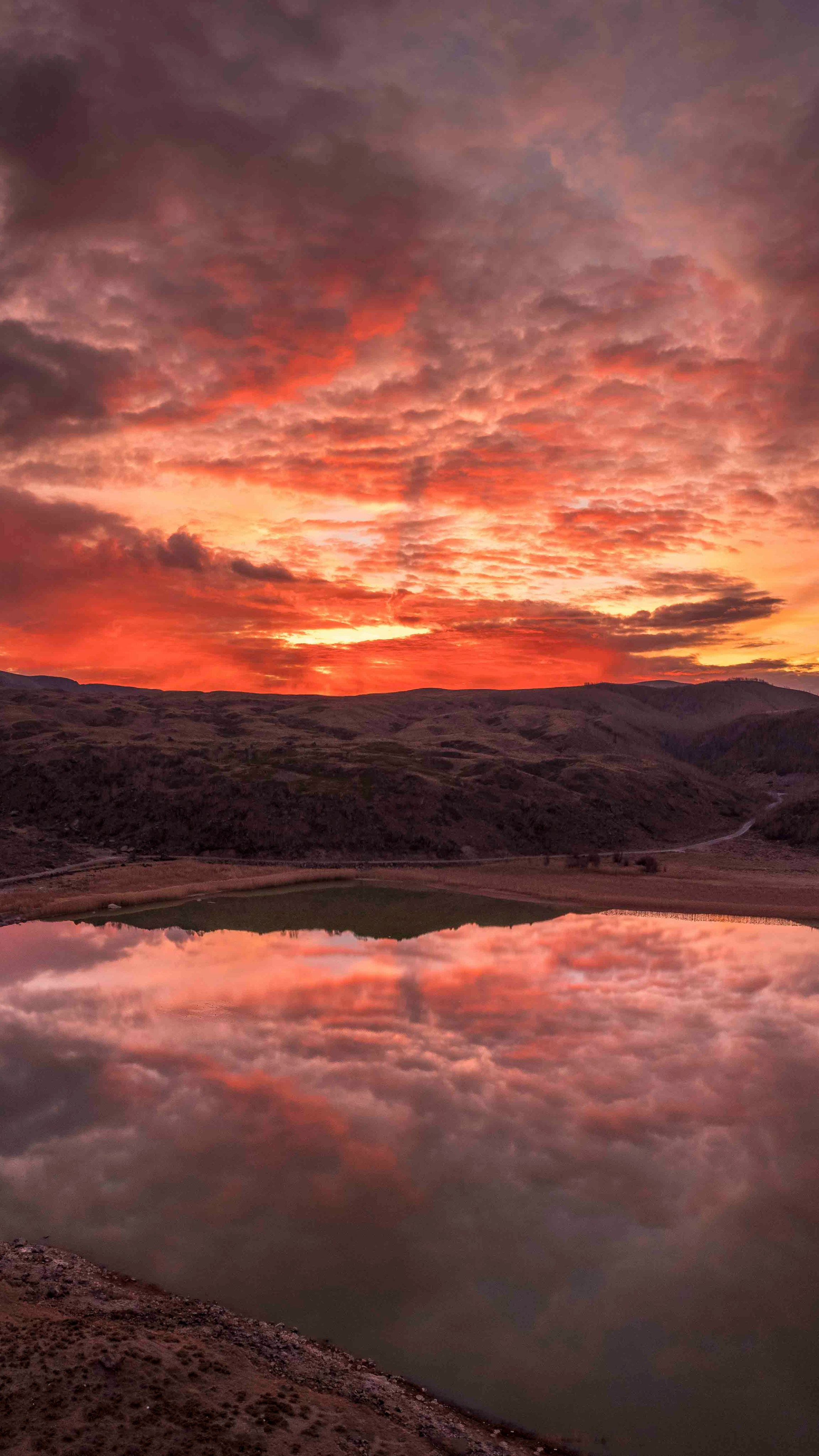 Фото. Брахим — фотограф