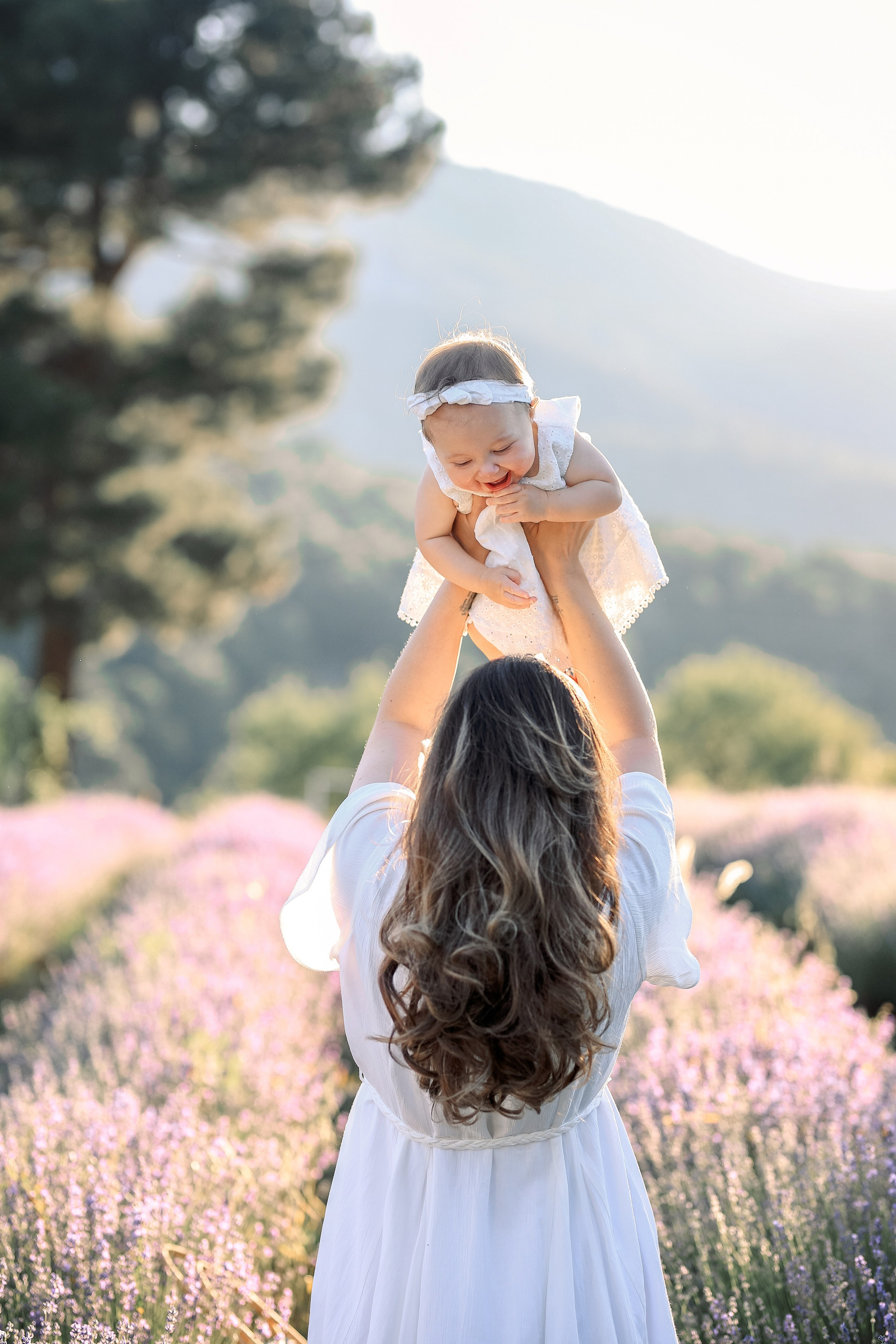 Lavender in Antalya. Photographer in Turkey, Antalya, Kemer, Belek, Side, Kas, Fethiye