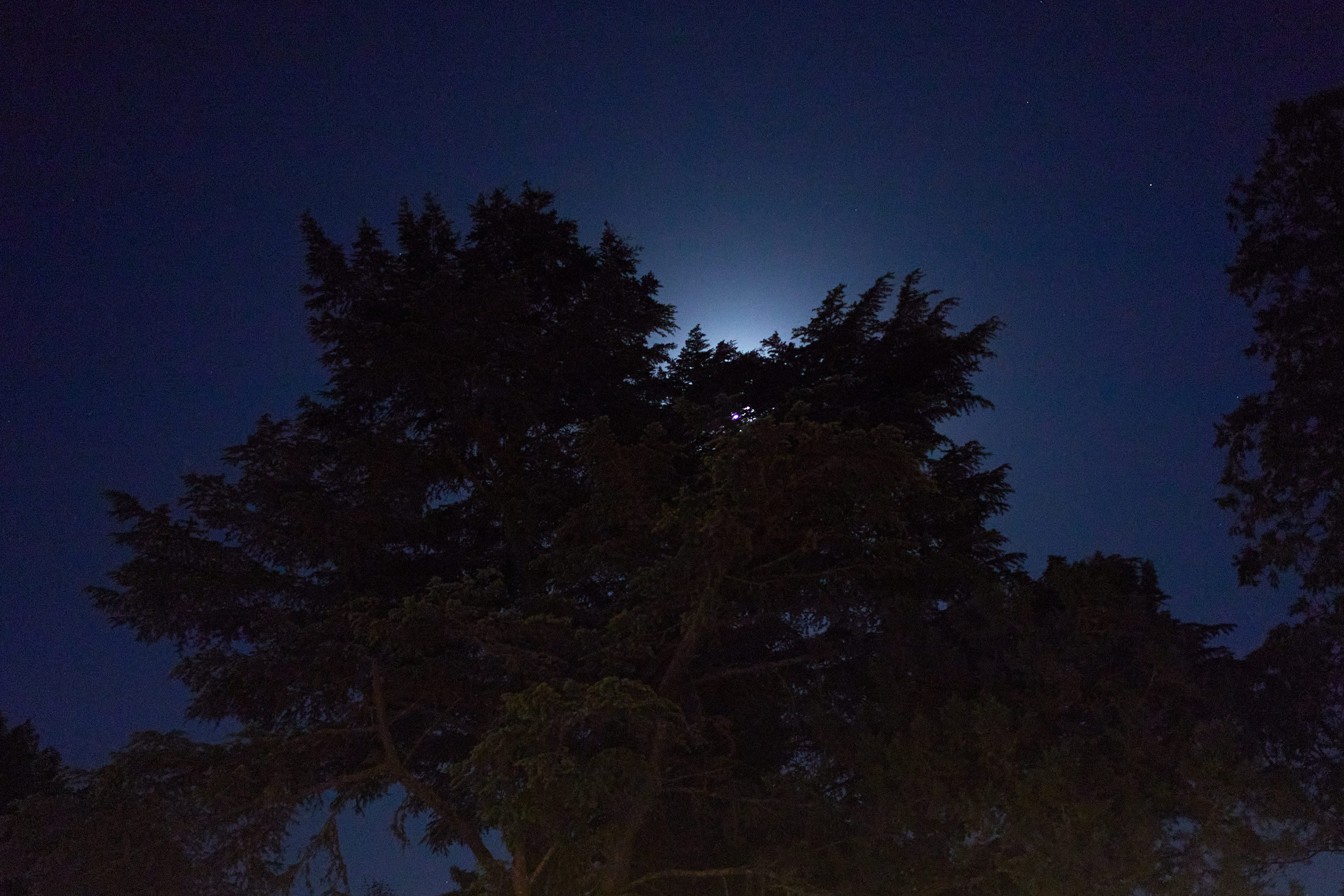 Mati & Martín. Marcos Ferrari Fotógrafo