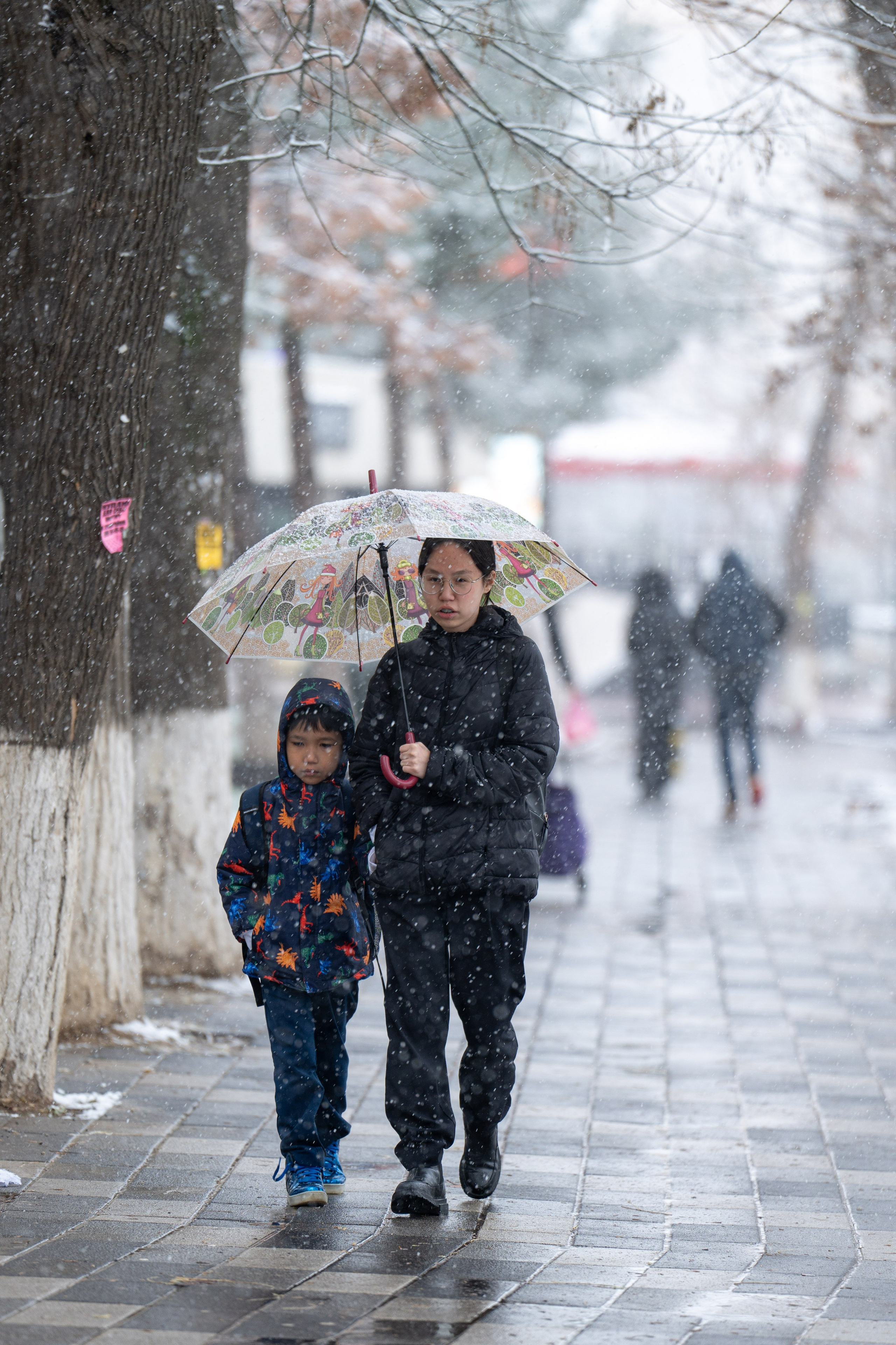 Первый снег в 2024 году. Георгий Намазов | Фотограф в Ташкенте