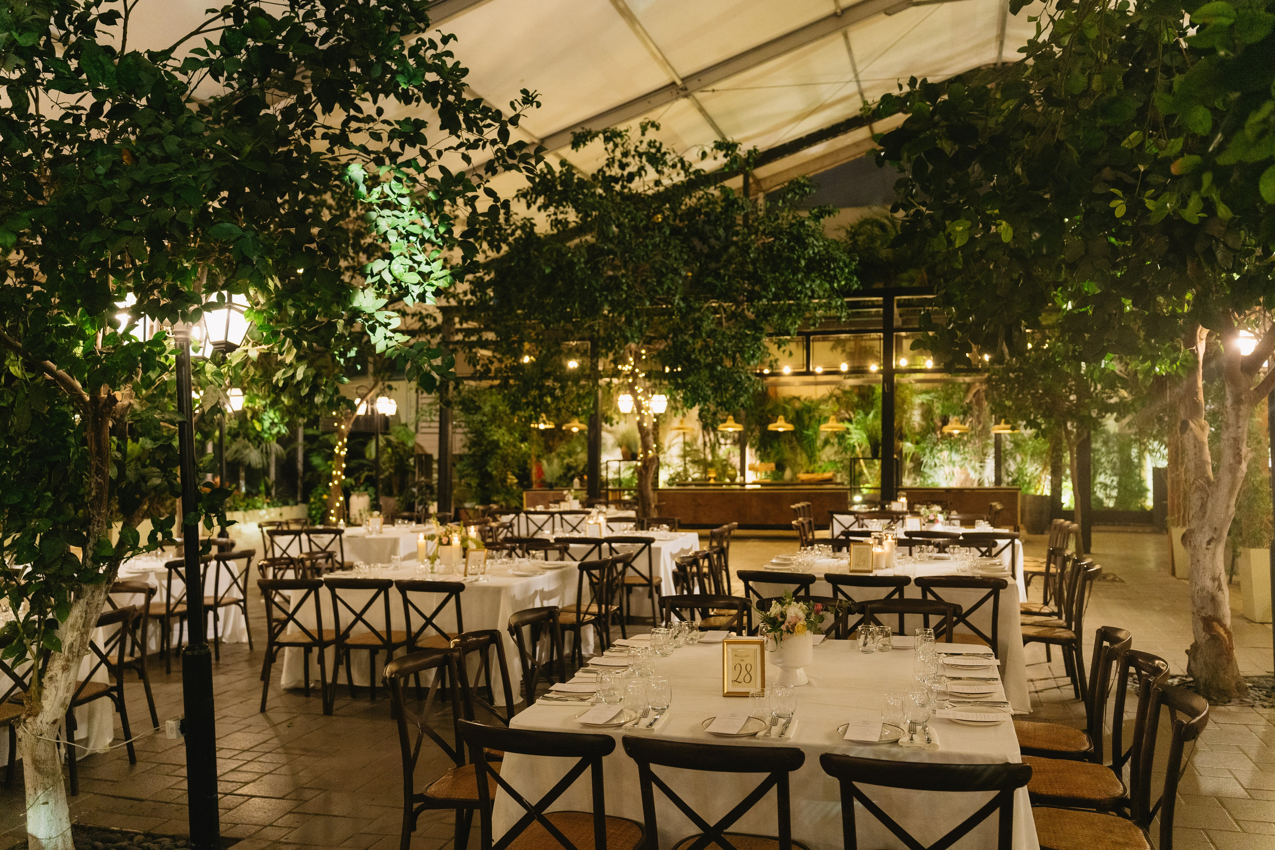 Interior & Venue. Portrait & Event Photography | Israel | David Shafirov