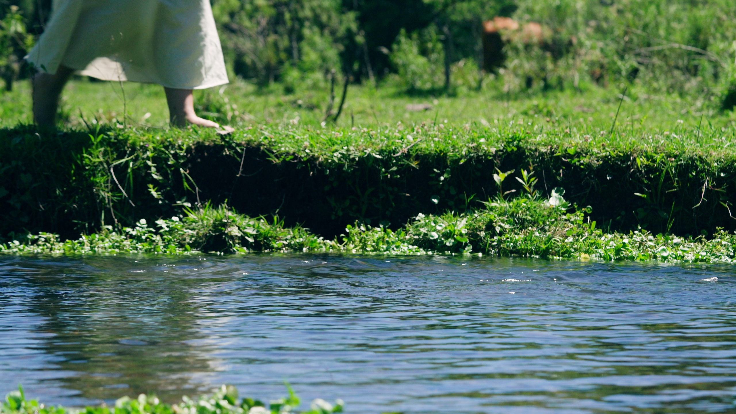 VIDEOCLIP «Río». Cuarta Pared