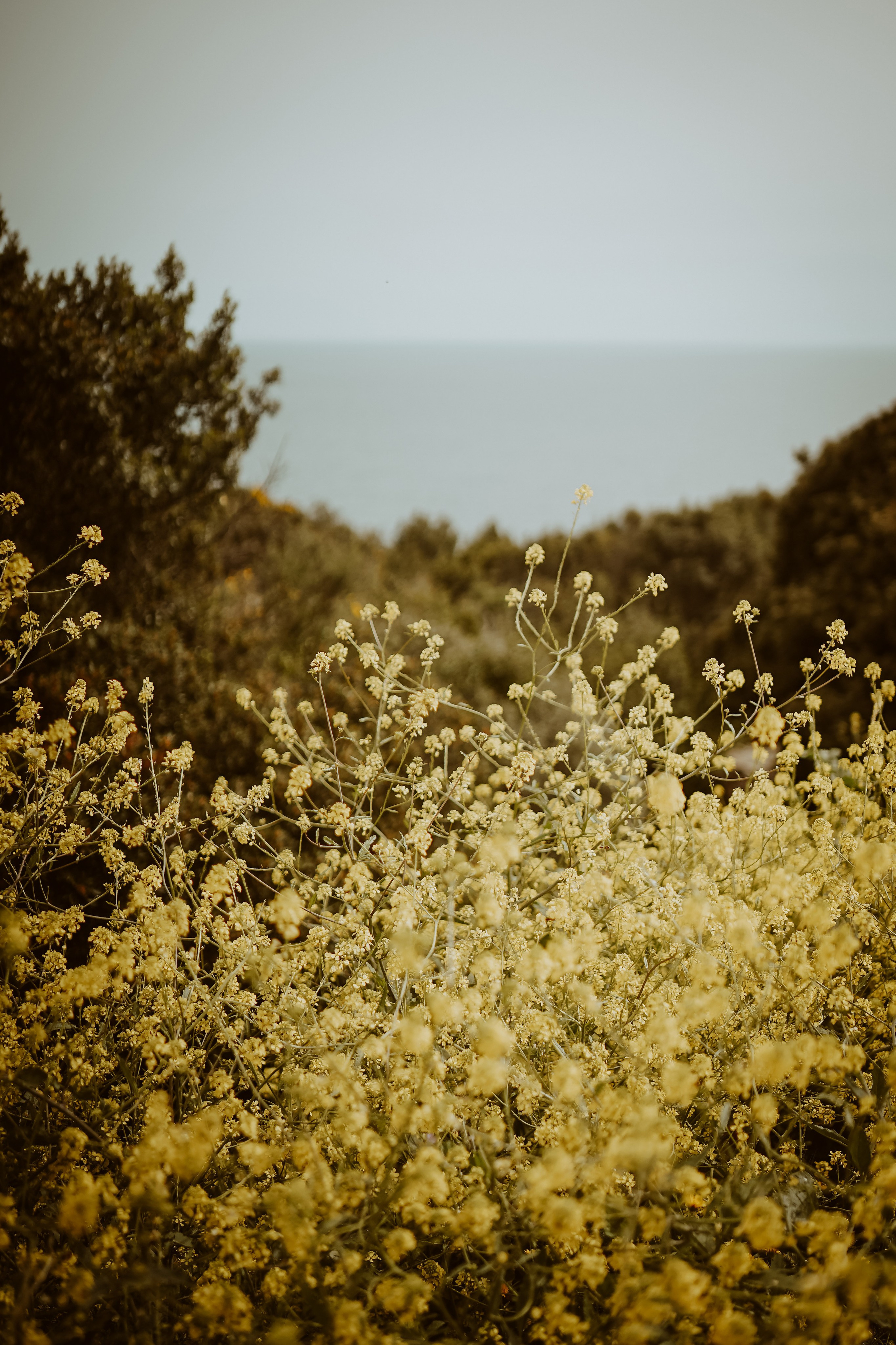 Massif du Cap-Sicié: plages de St.Selon, Jonquet, Boeuf. Photographe à la Seyne sur Mer, Var