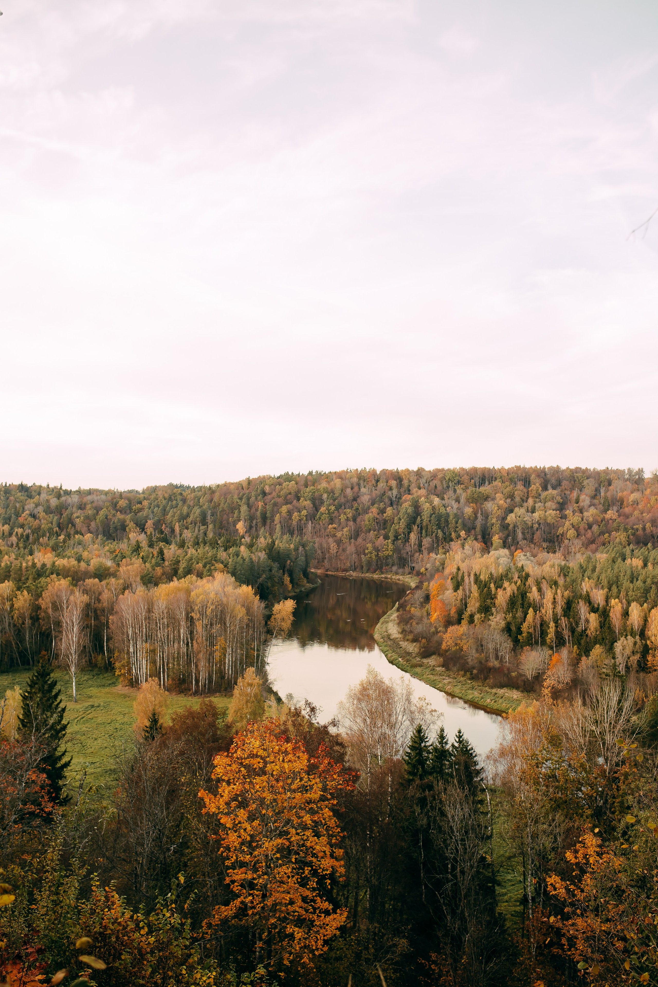 Gunta & Dāvis. Fotogrāfe Līga Vaidere