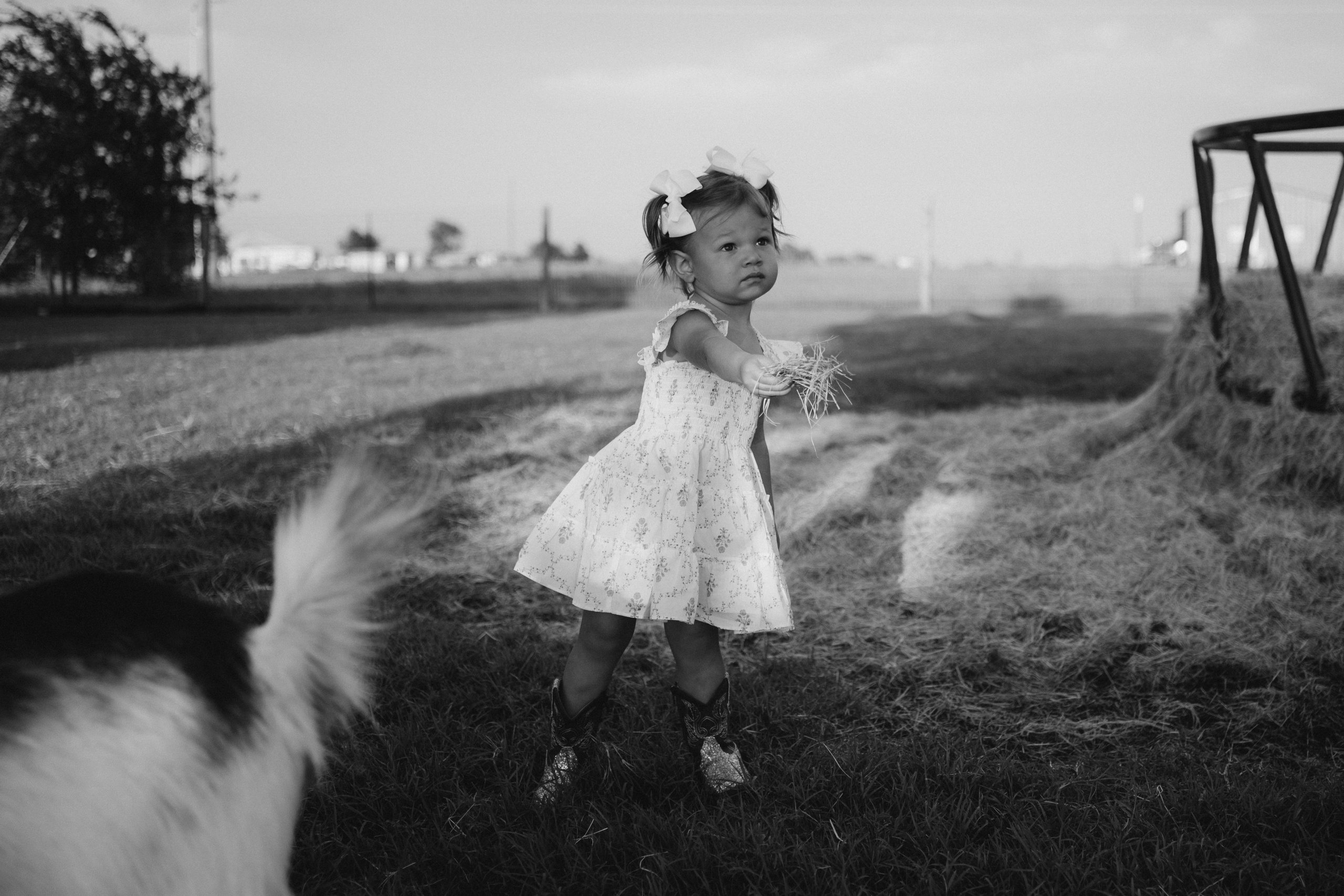 Summer Moments. Lens Captures Life