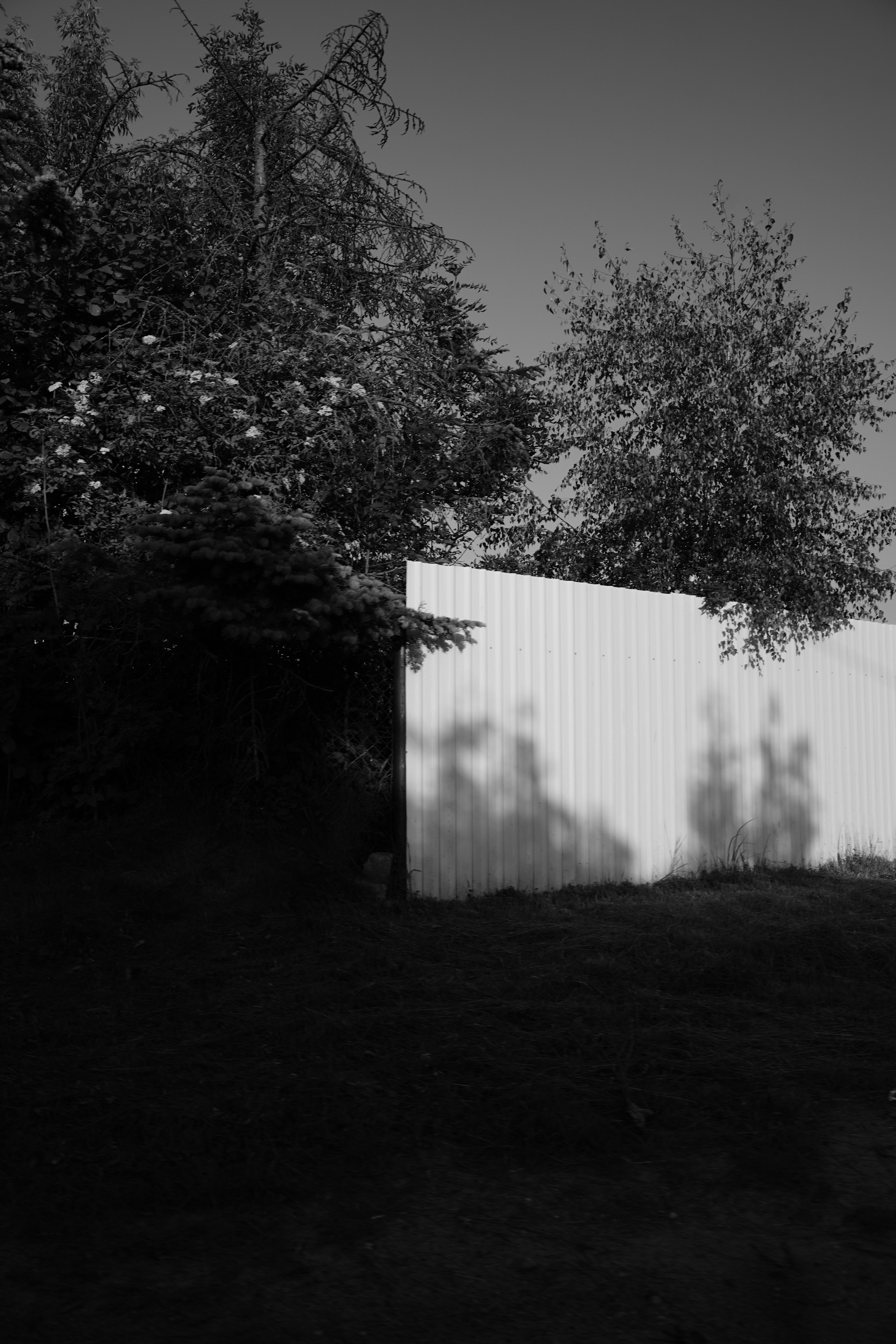 Powroty do domu. Olga Kępka-Peryt|Naturalna fotografia portretowa i lifestyle|Warszawa i okolice