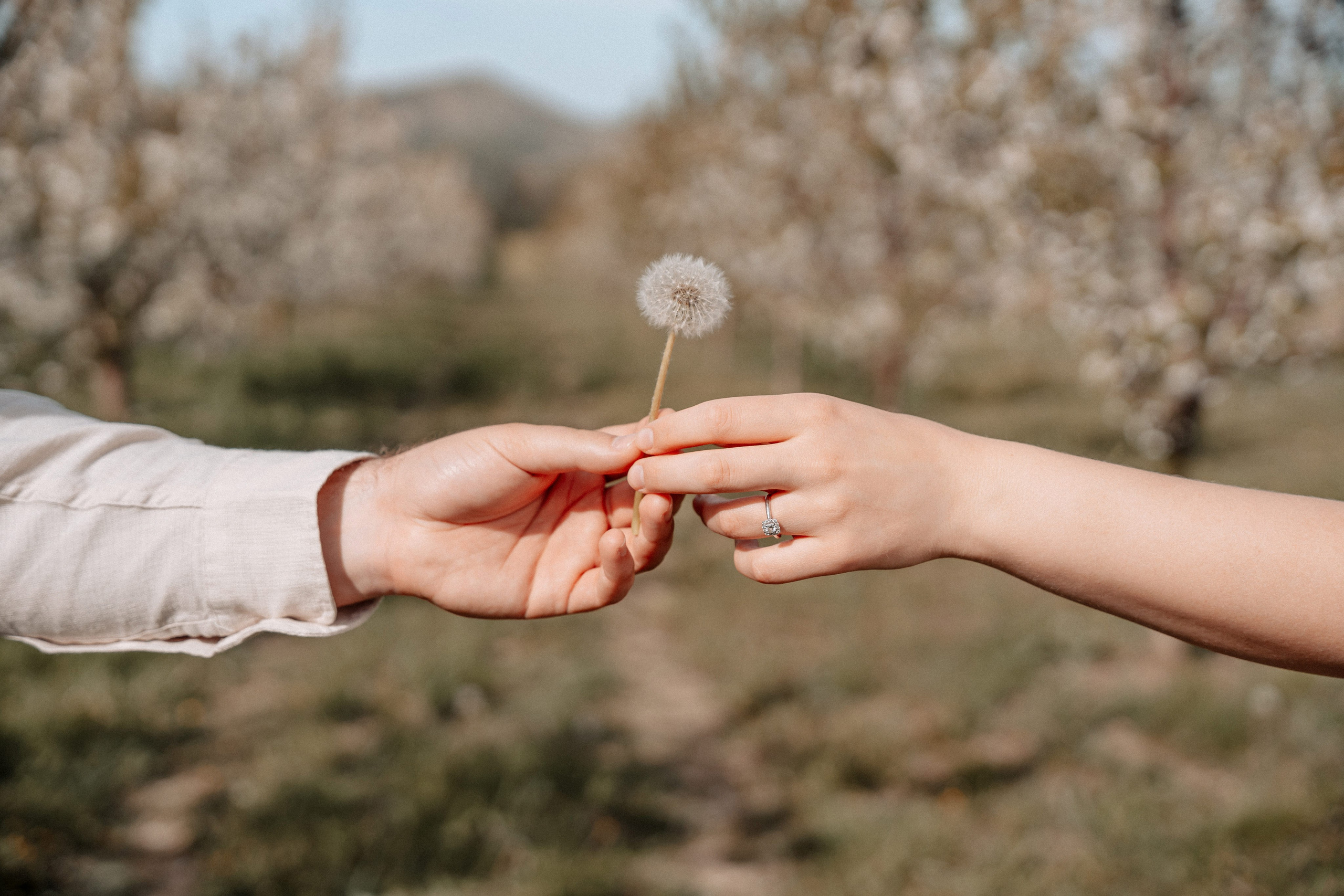 Diana & Alex. Raw Studio. Fotograful tau de nunta!