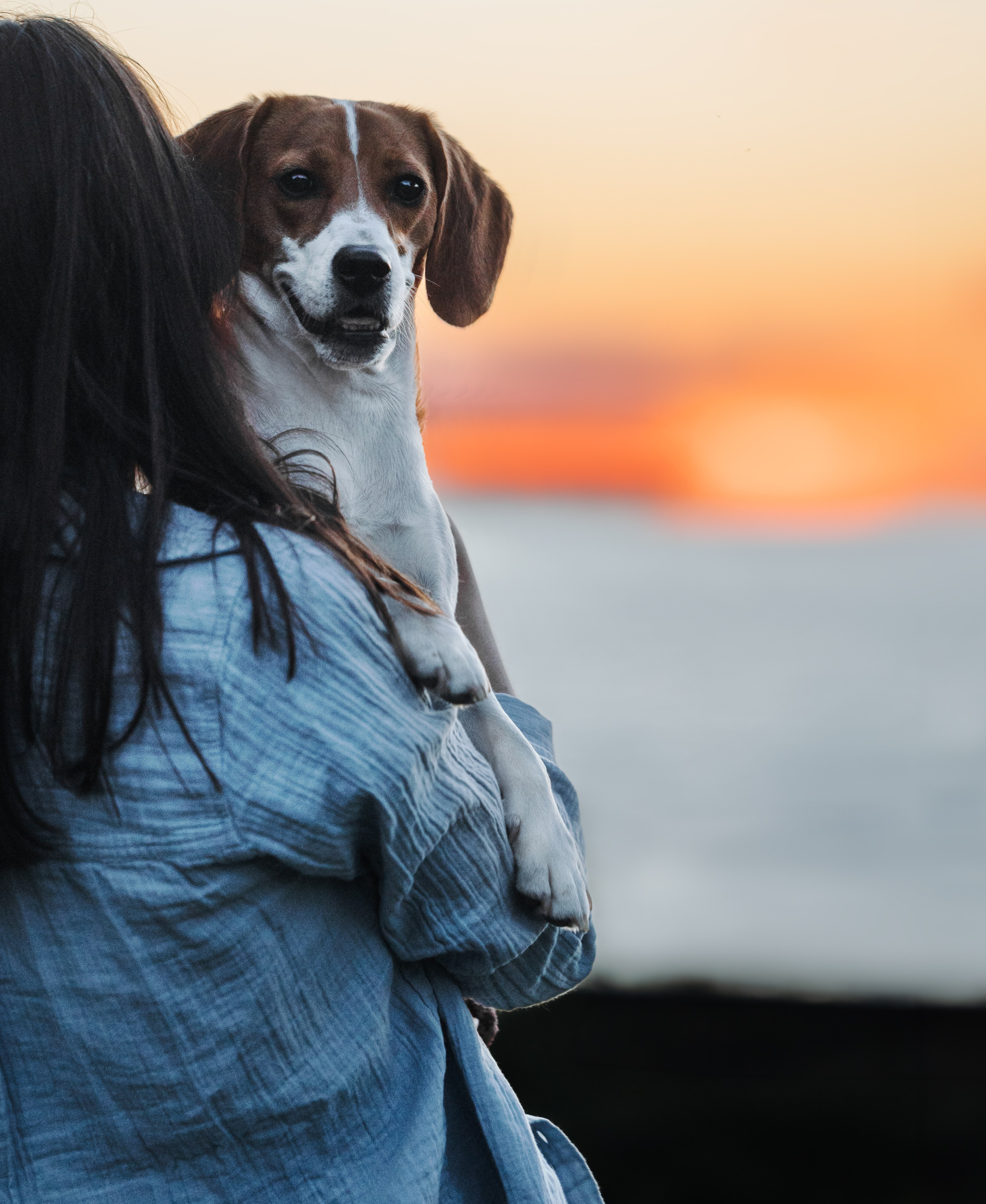 Maxine & Sarah. Pet Photographer Viktoriya Aleshenko