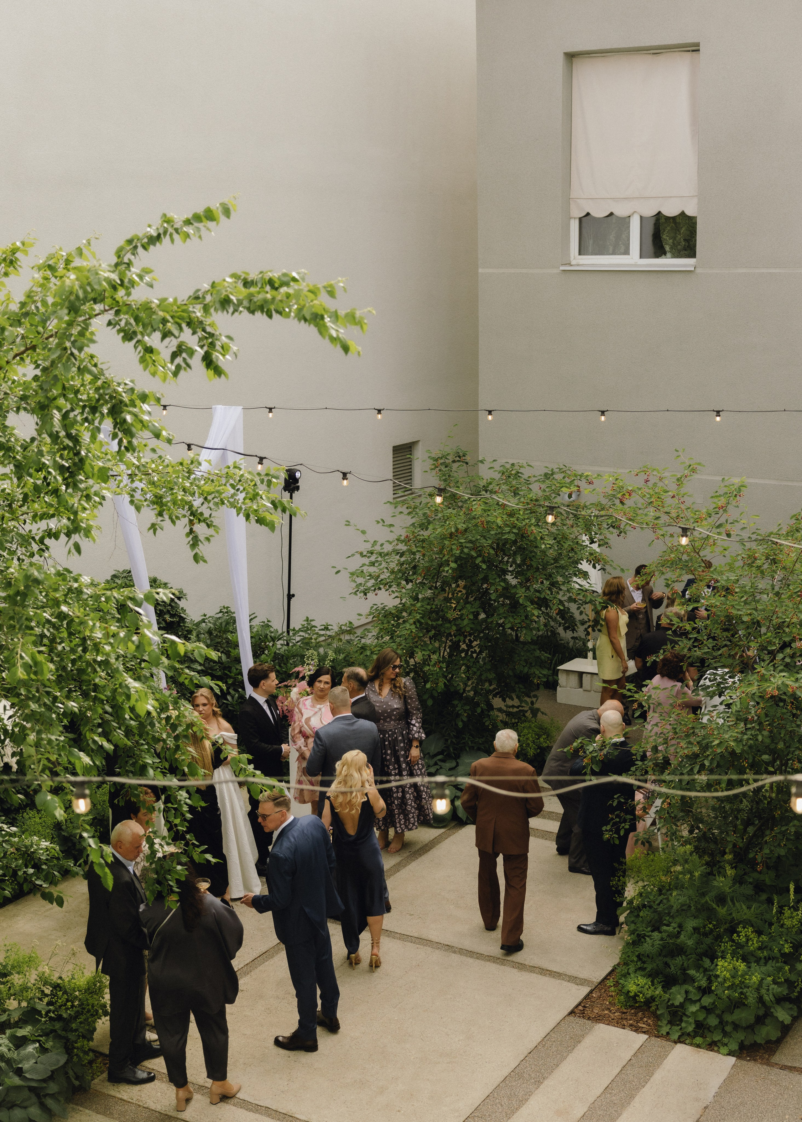 Paulina ir Deivydas | vestuvės Vynvytyje | Kaunas 2025. Vestuvių ir šeimų fotografė Lena Bondarenko / belove photo