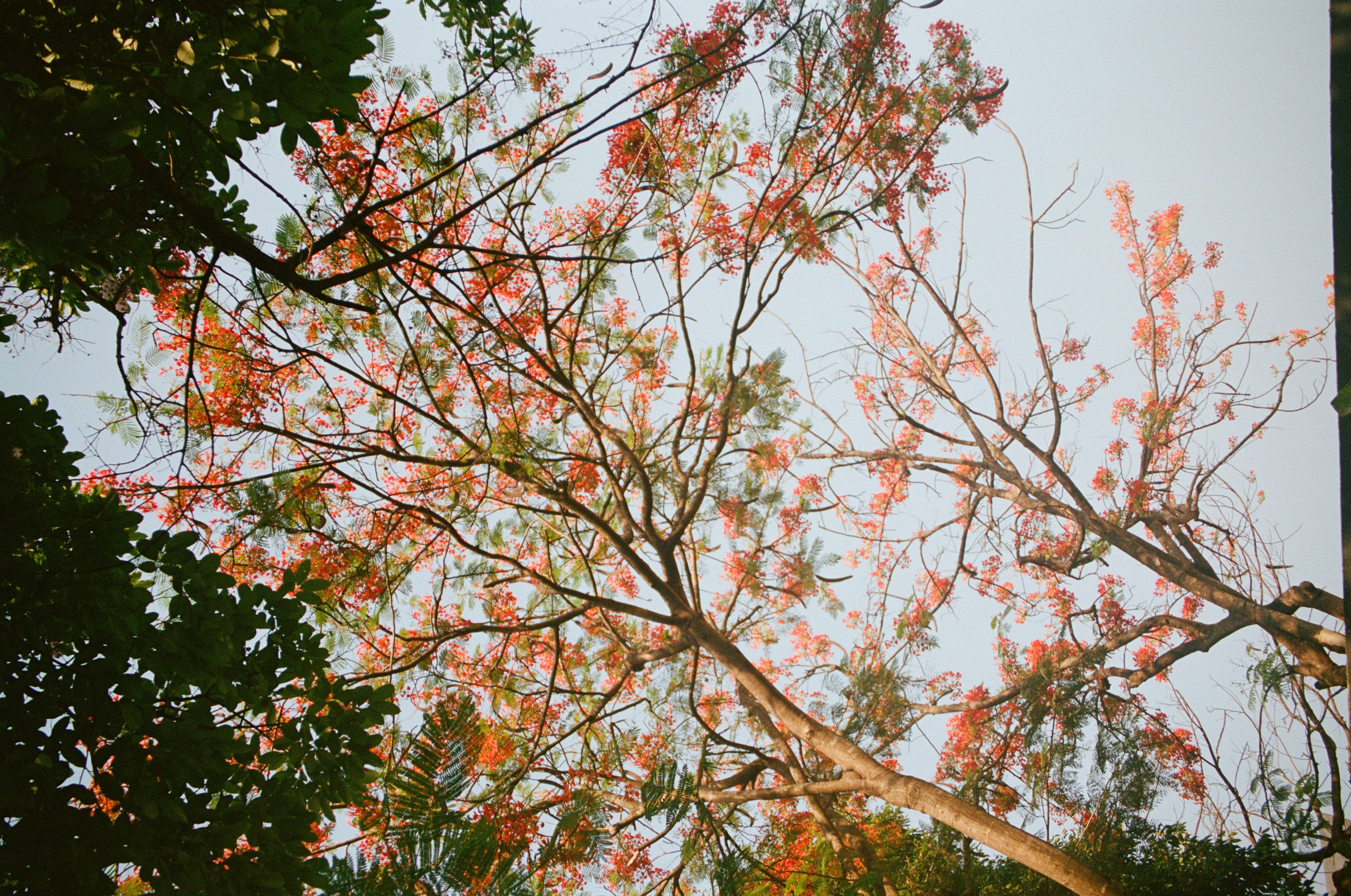 Wedding & Editorial Photographer | Anandshivadas
