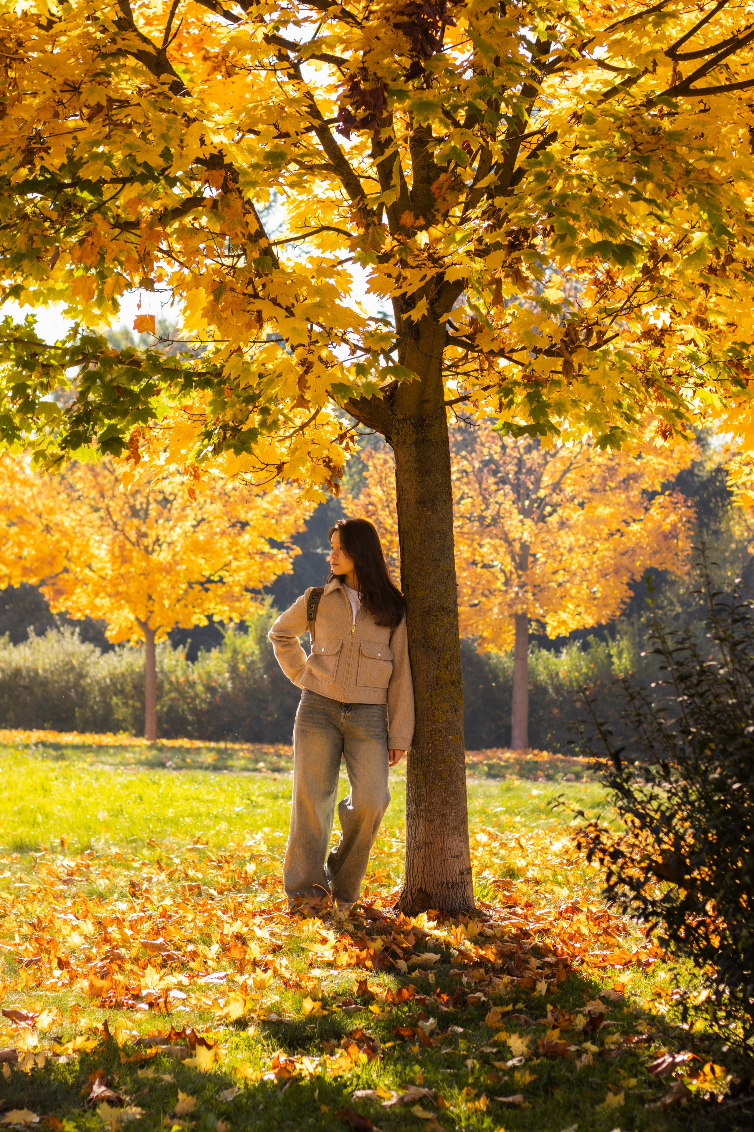 Pouliční fotografie při zlaté hodince zachycující moment během západu slunce v kinematografickém stylu.