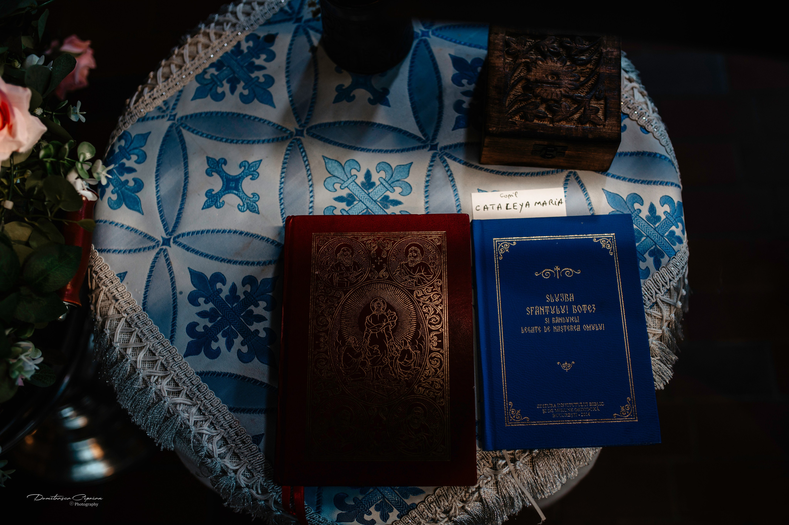 Cataleya Maria. Dumitrasca Ciprian Photography