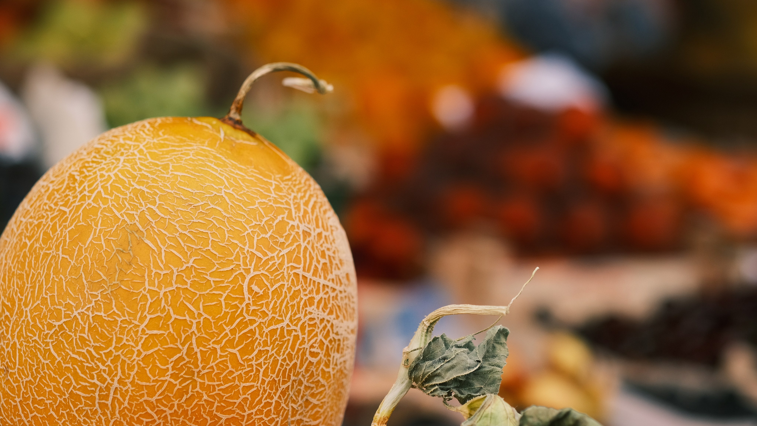 Спелая, сочная, желтая дыня