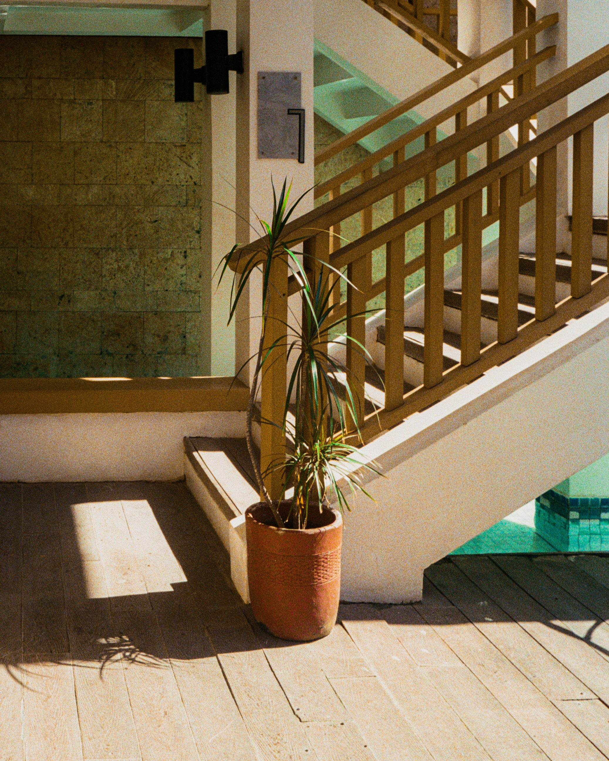 Film Photography. Interior & Architectural Photographer Philippines | Argen Carlo Camaclang