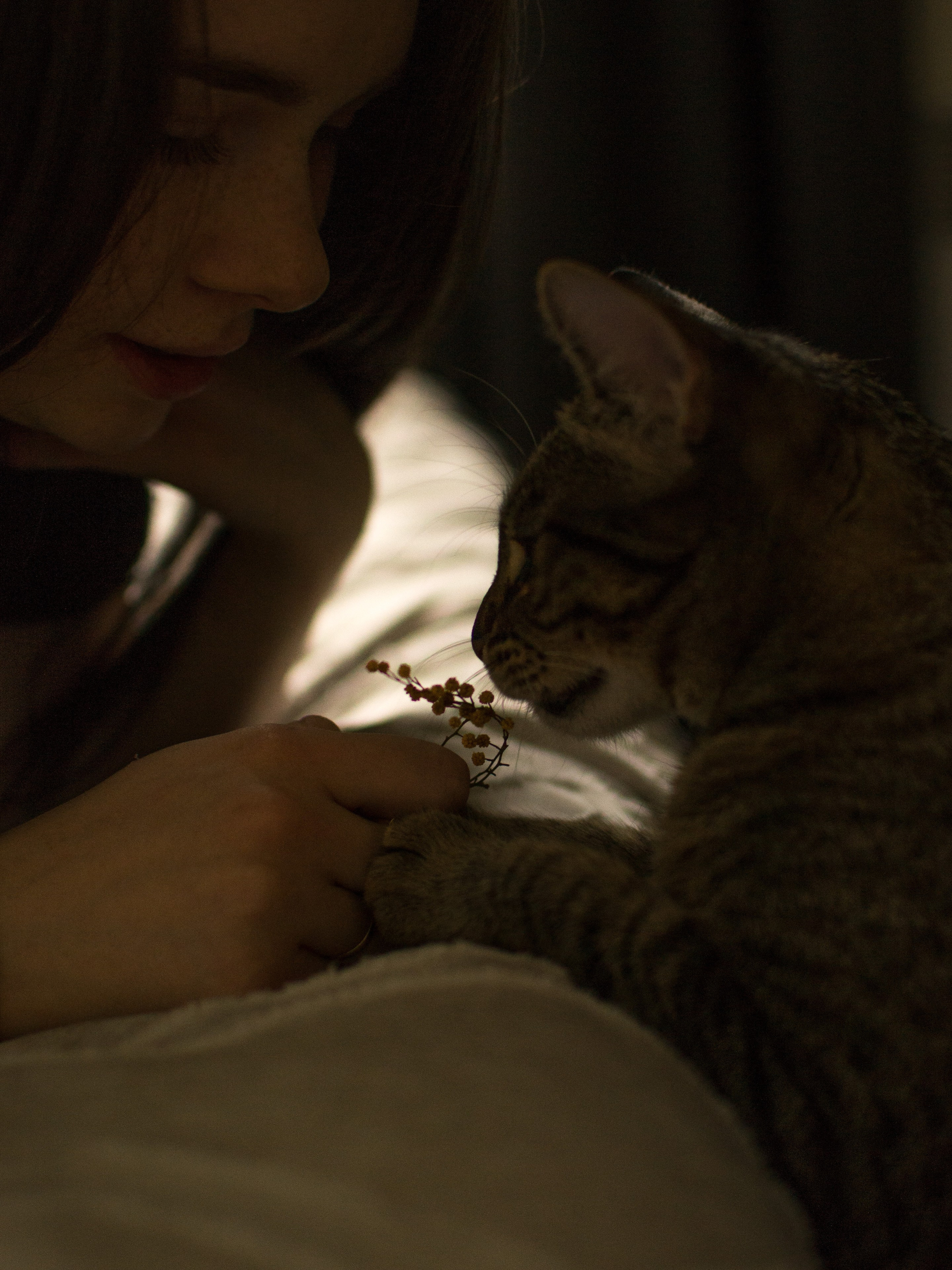 Victoria et Murka. Photographe animalier à Paris Anna Pereira