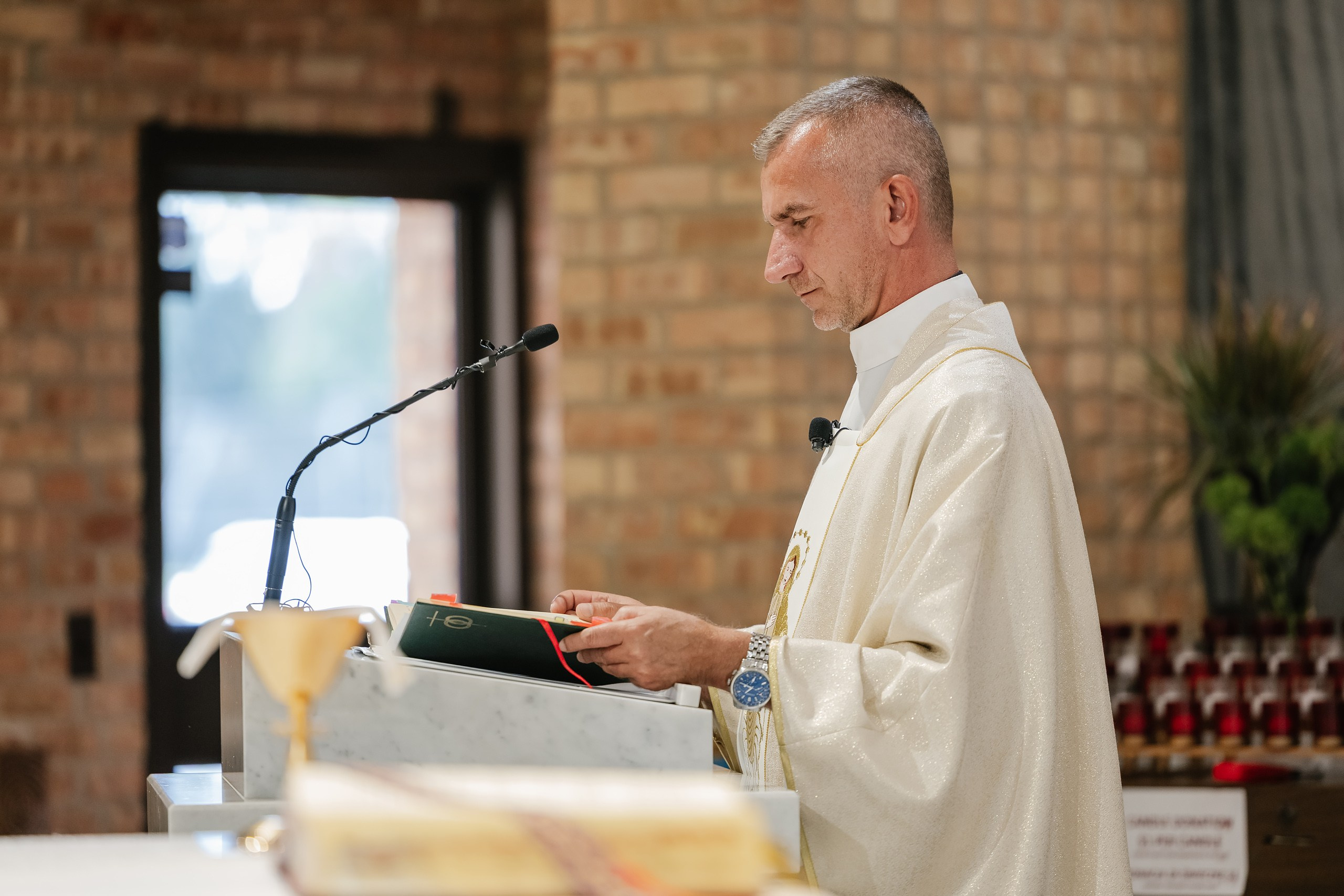 09.06.2025 Wedding. Wedding family event photographer in Chicago Nick Yushevich