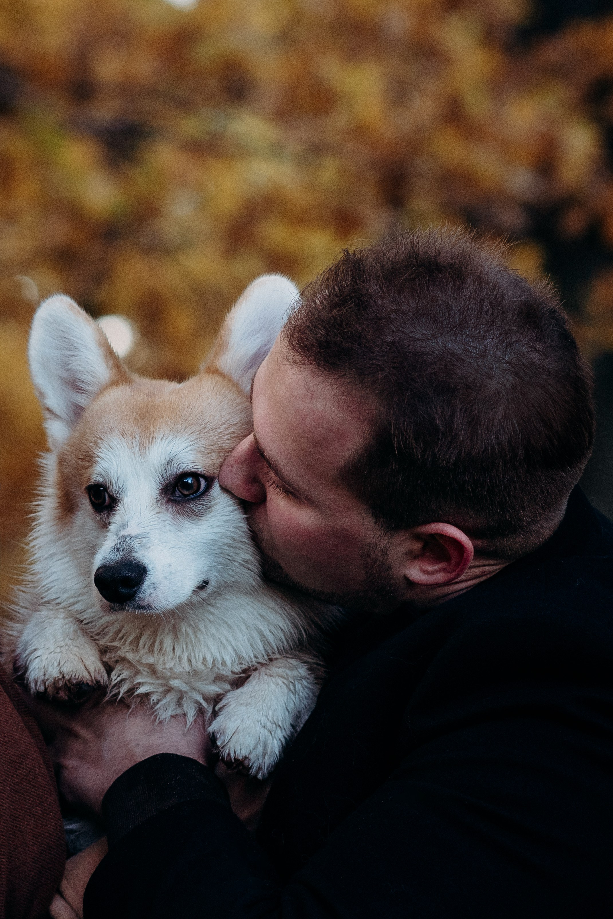 Liisa, Alexander & Marsel. Фотограф-анималист в Таллинне, Катя Лайсаар