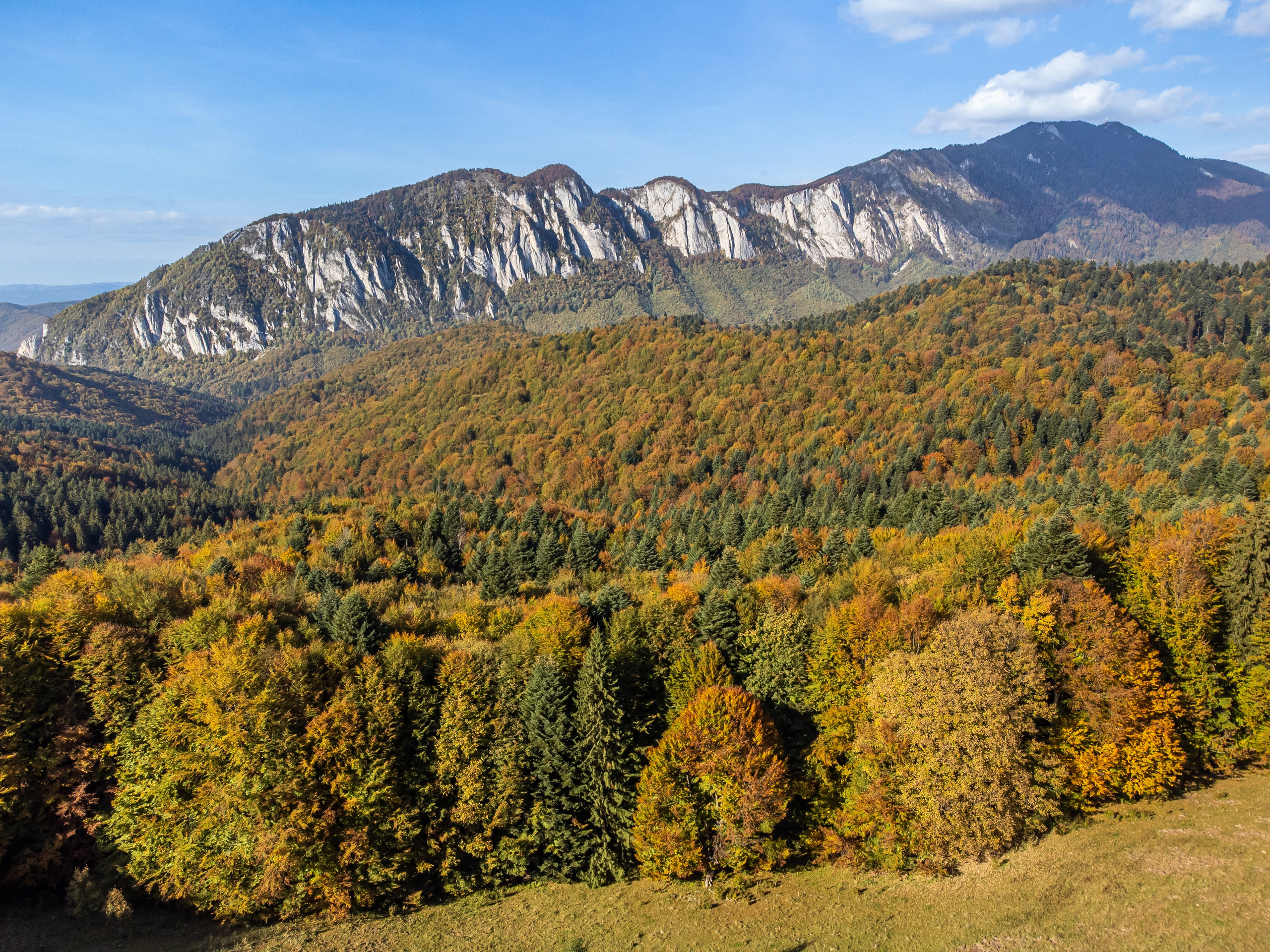 Călătorie. Daniel Hașiegan