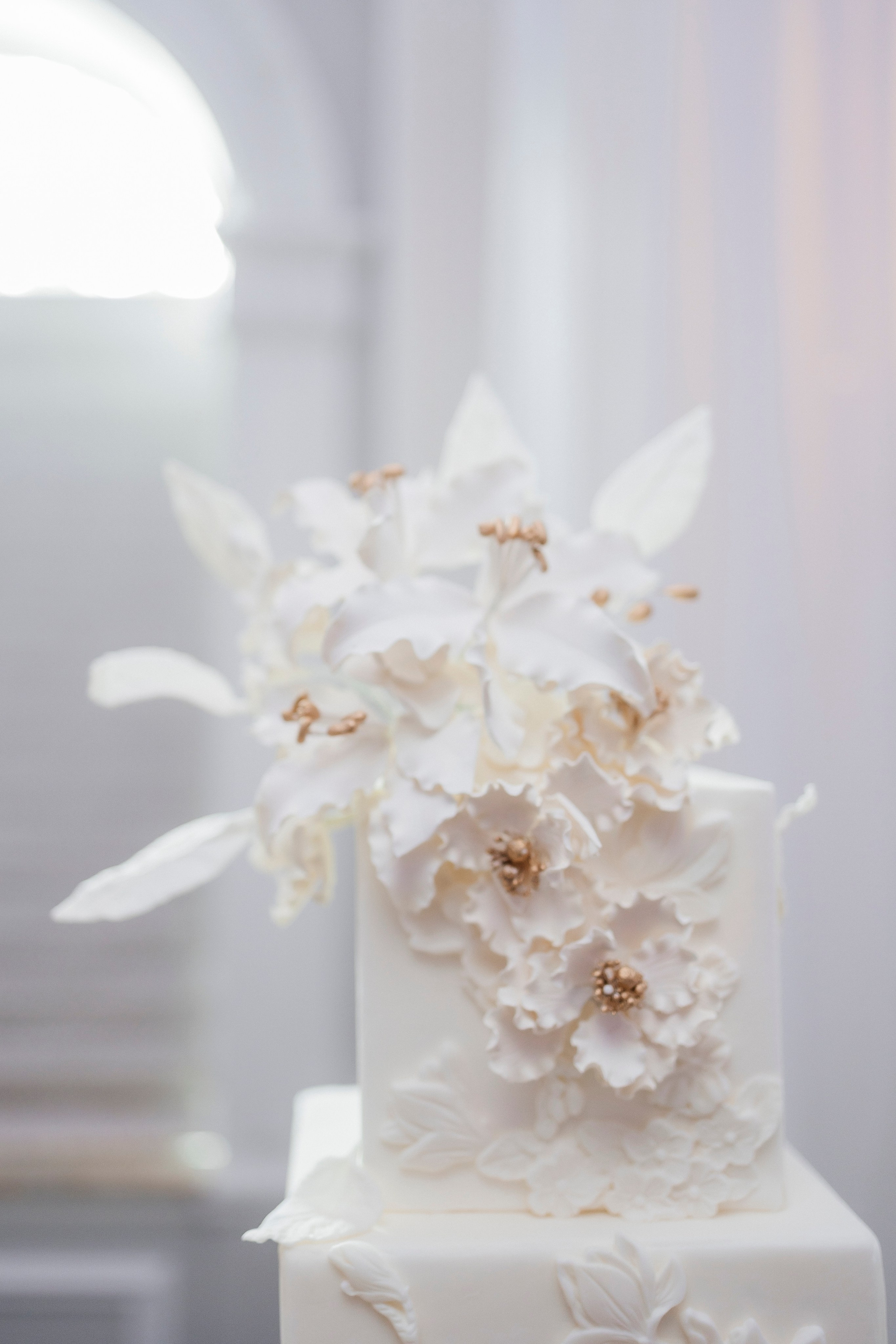 Mahmoud & Lana. Wedding Photo & Video