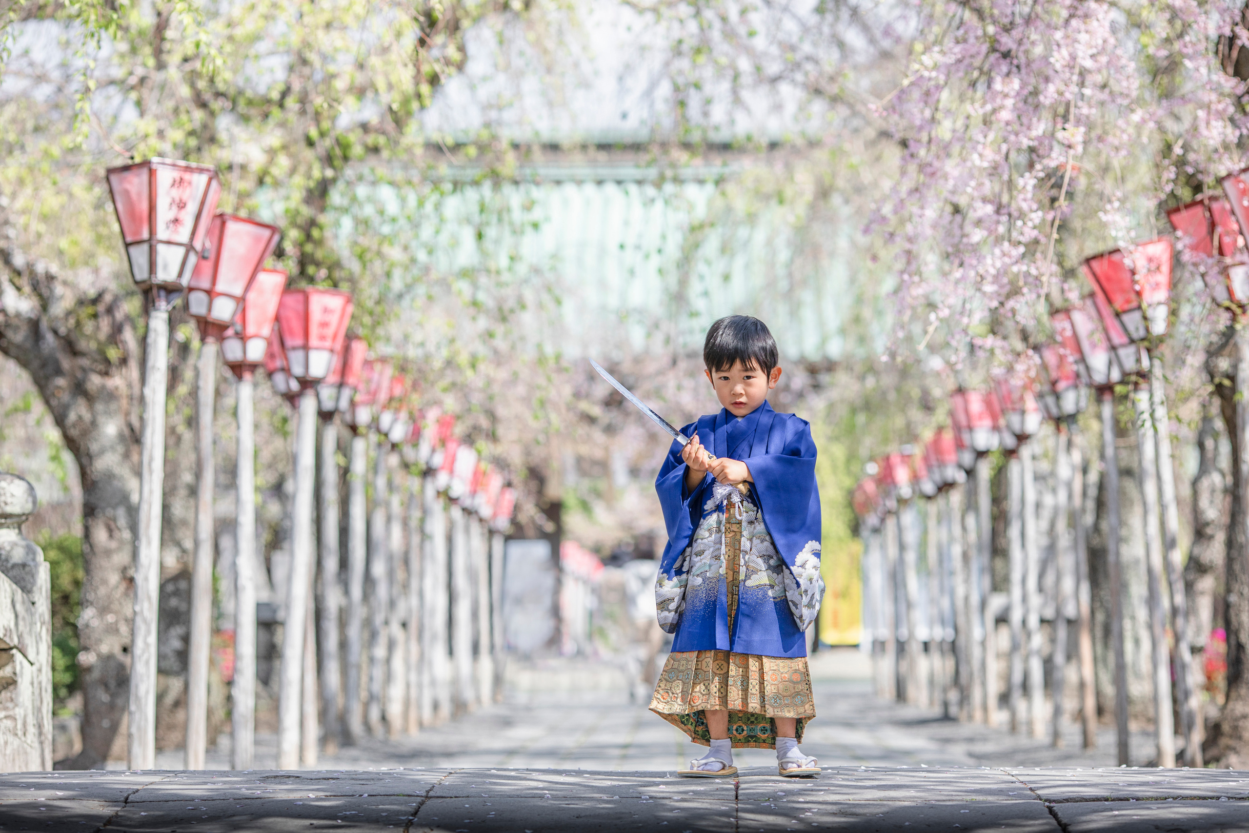 出張カメラマン　七五三　753 家族写真　家族　子供　記念写真　山梨県　東京　静岡　長野. Kids and Family Photographer in Japan　子供と家族の撮影　日本