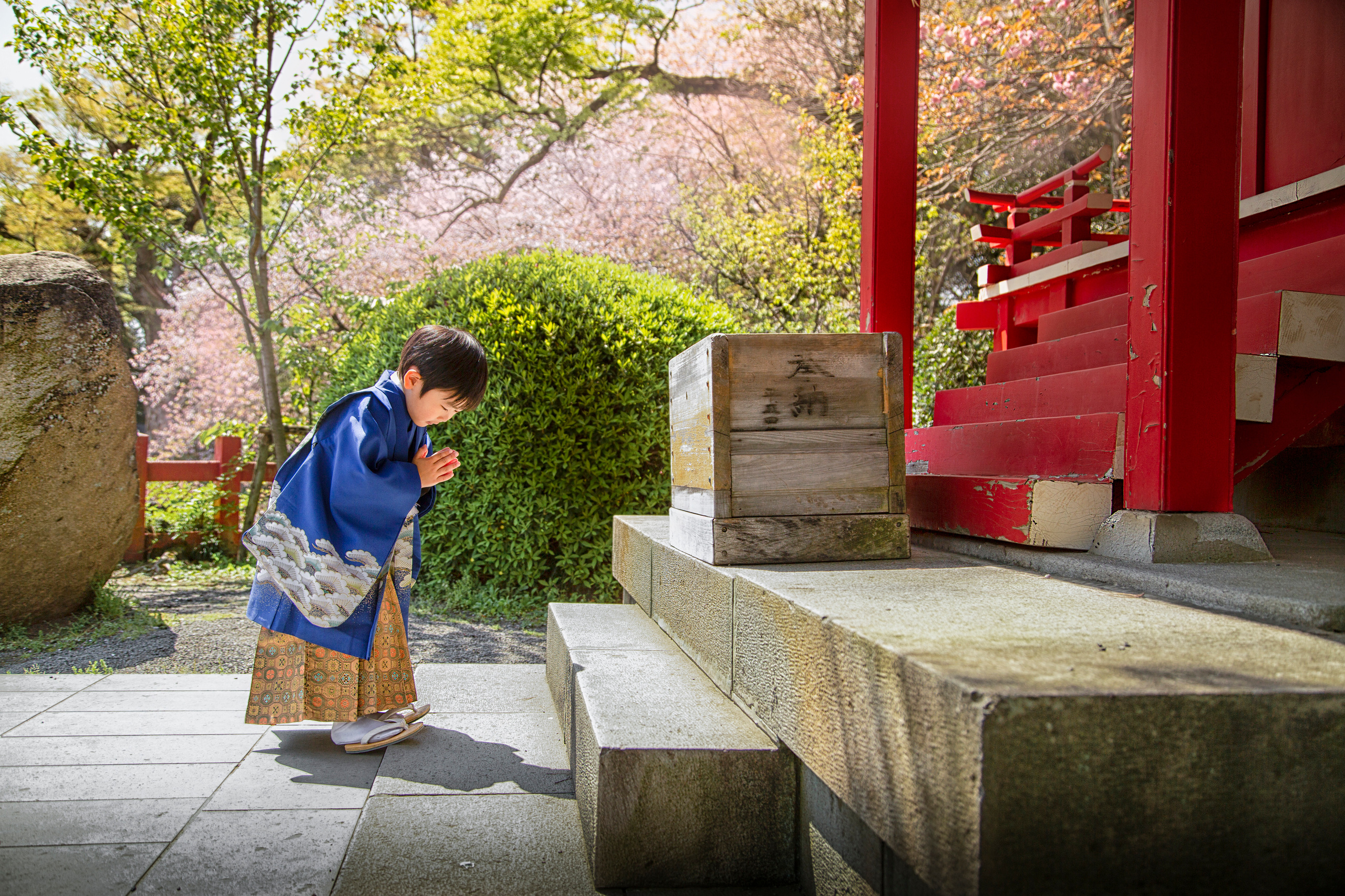 出張カメラマン　七五三　753 家族写真　家族　子供　記念写真　山梨県　東京　静岡　長野. Kids and Family Photographer in Japan　子供と家族の撮影　日本