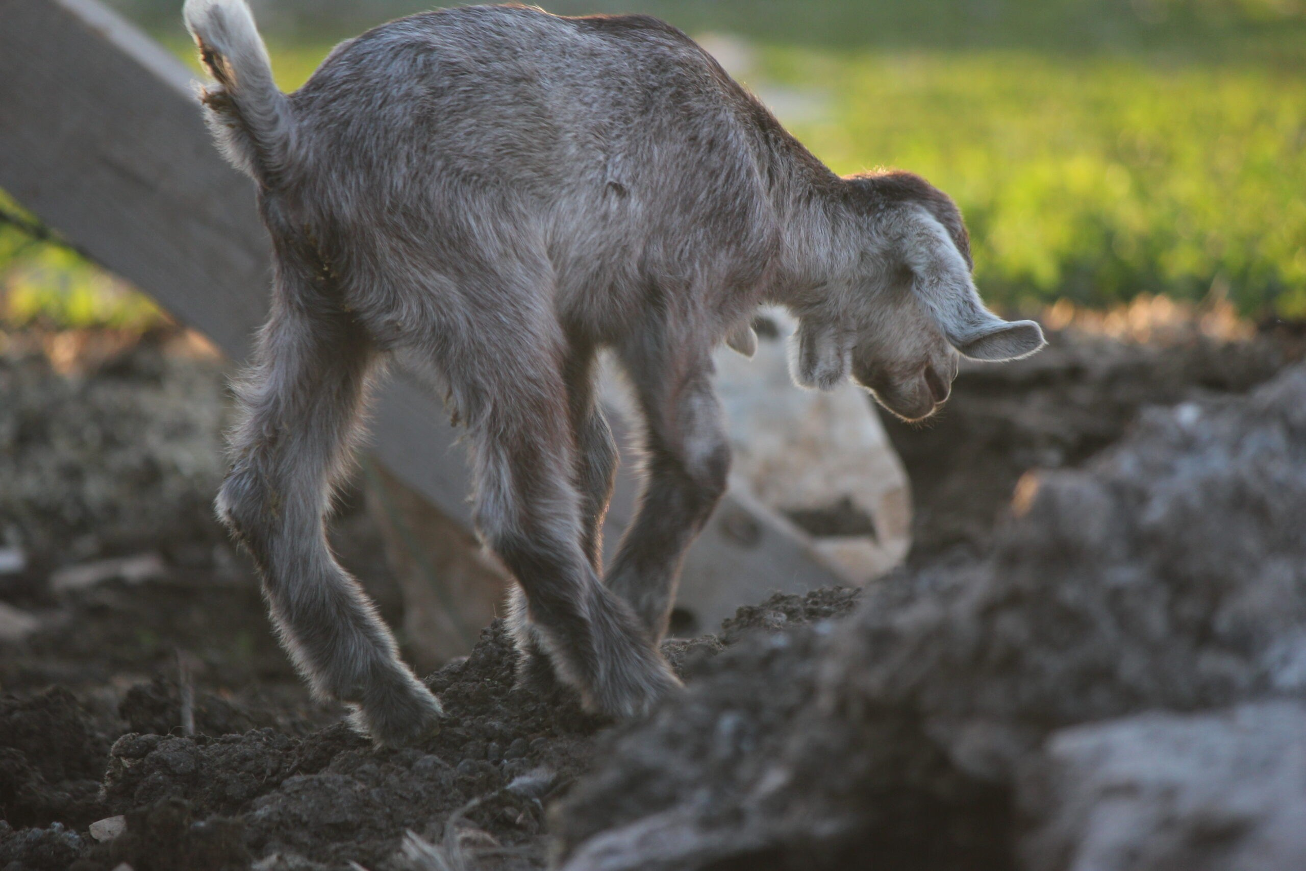 Landscape. Noam Paradise Photographer