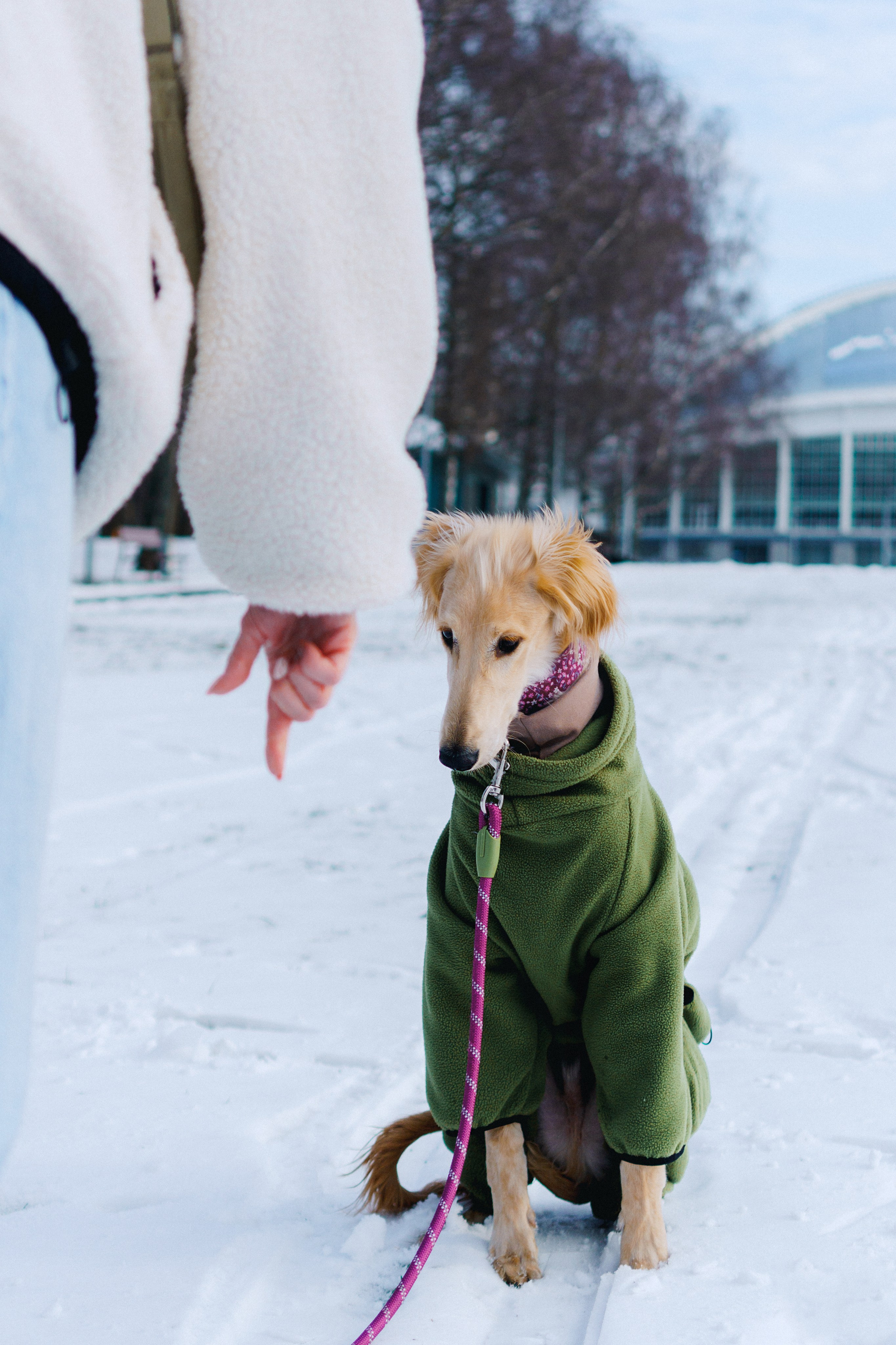 Nicole & Sky. Kat Laisaar — Pet photographer in Tallinn