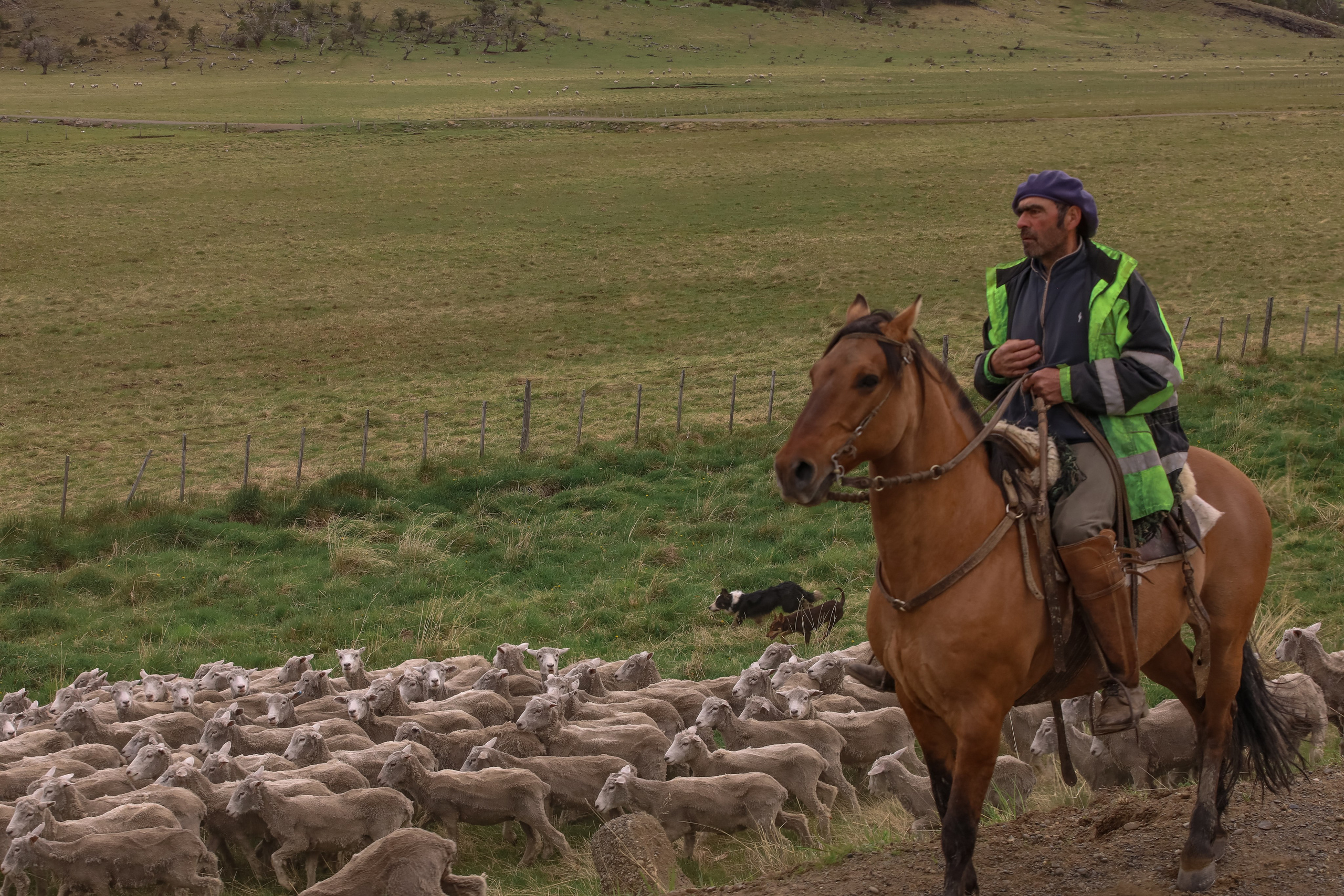 PATAGONIE. Photographe Karen Tatevosian