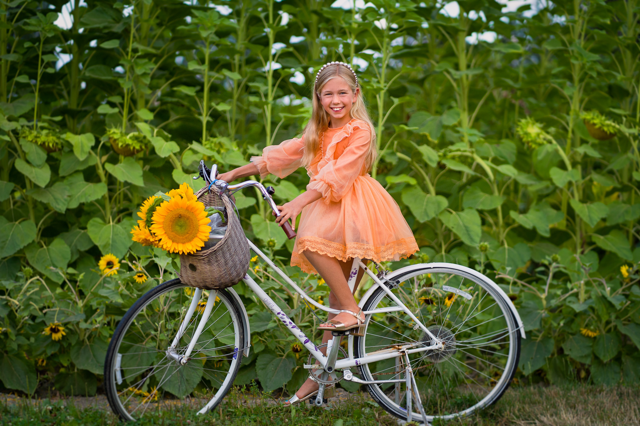 Sunflowers. Vancouver Kids Photographer