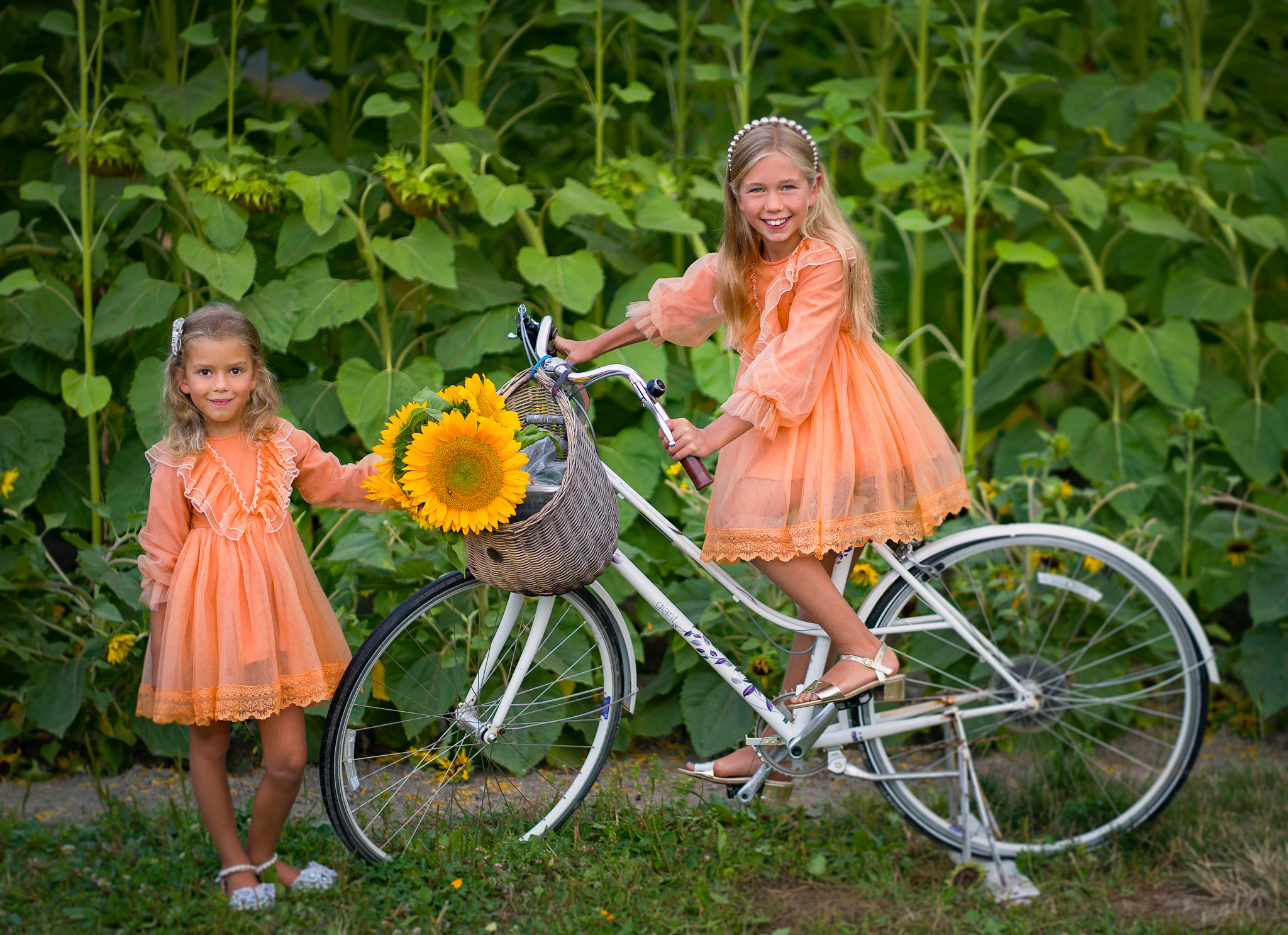 Sunflowers. Vancouver Kids Photographer