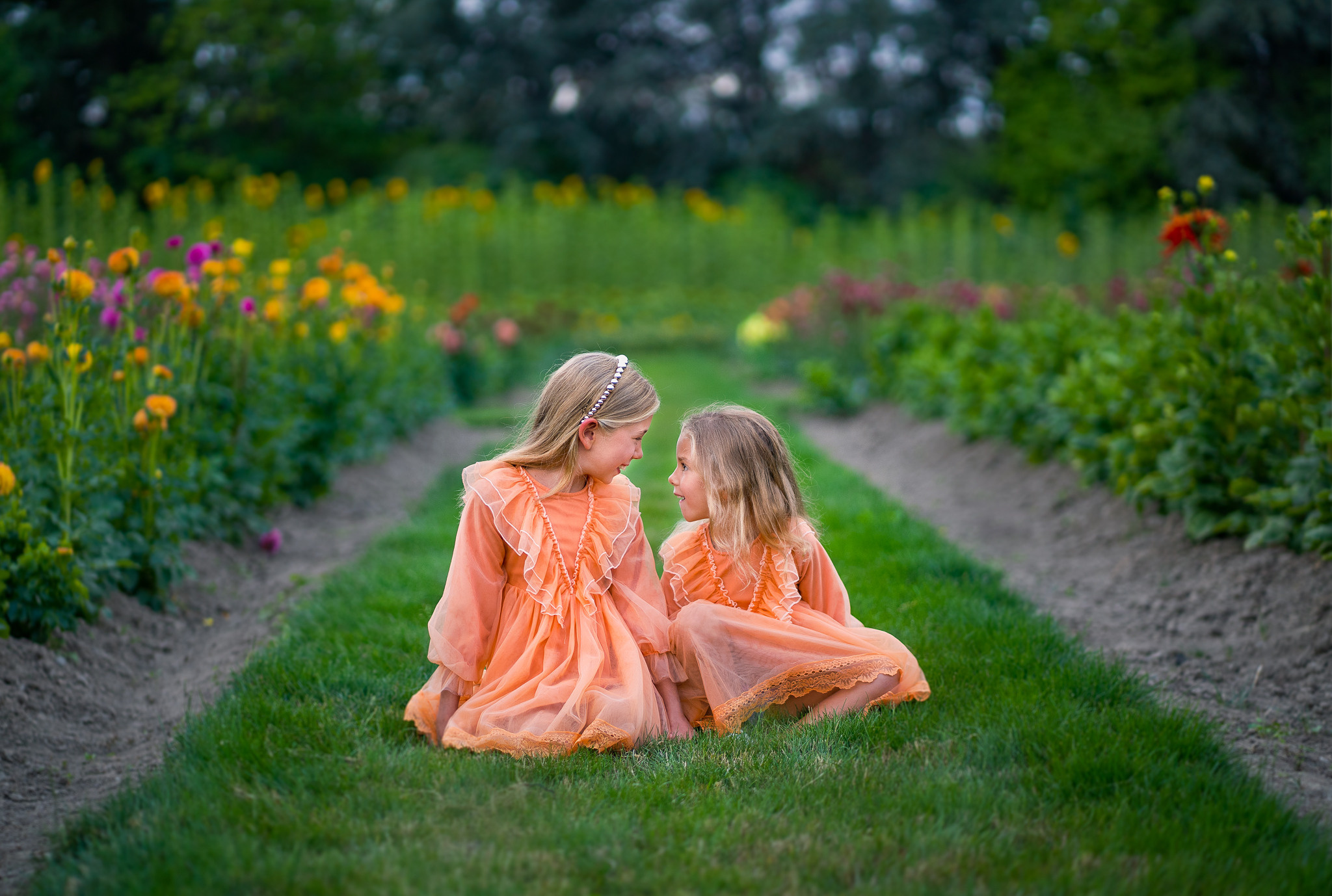 Sunflowers. Vancouver Kids Photographer
