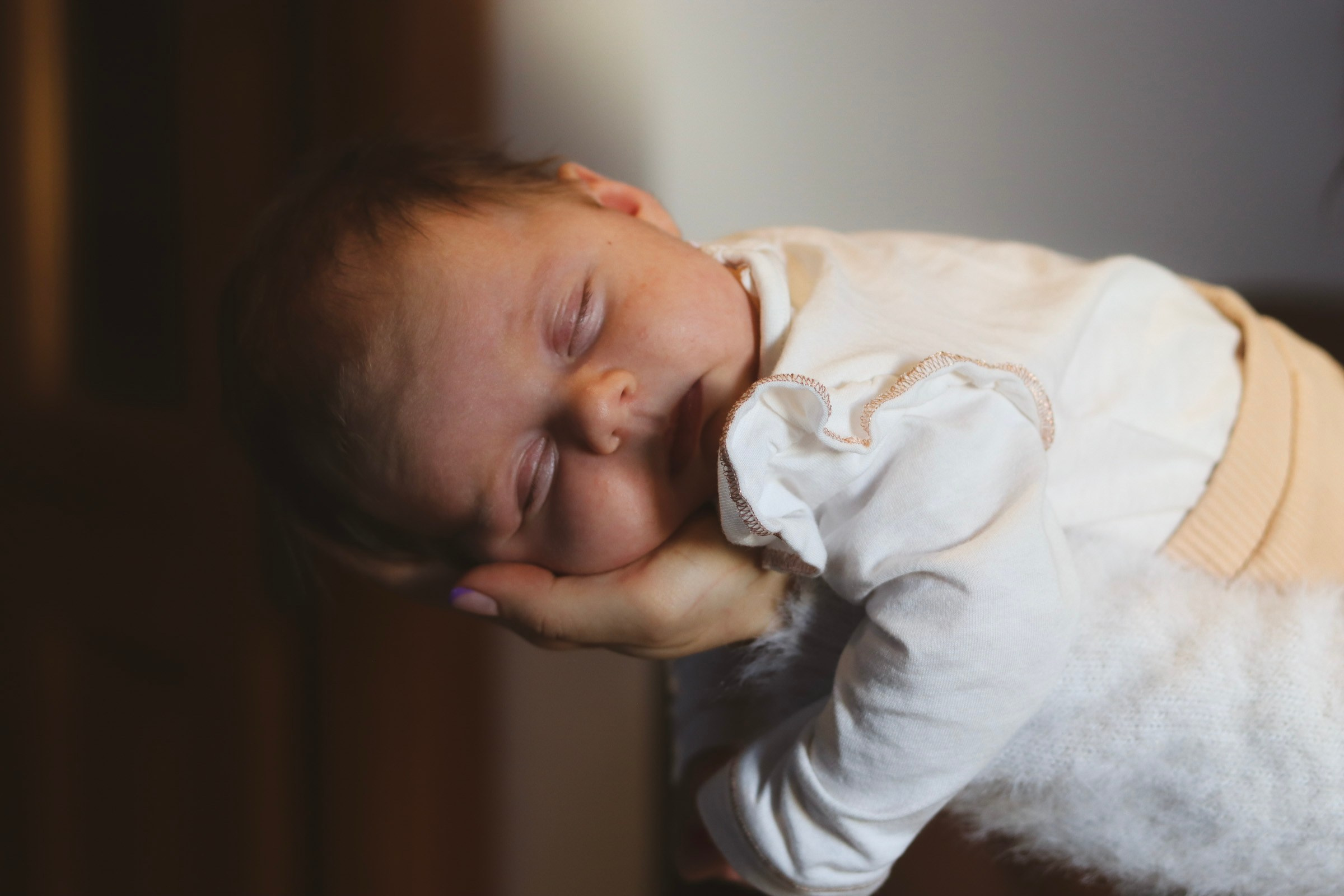 Without leaving home. Photographer Margarita Antonova in Naas, Co Kildare