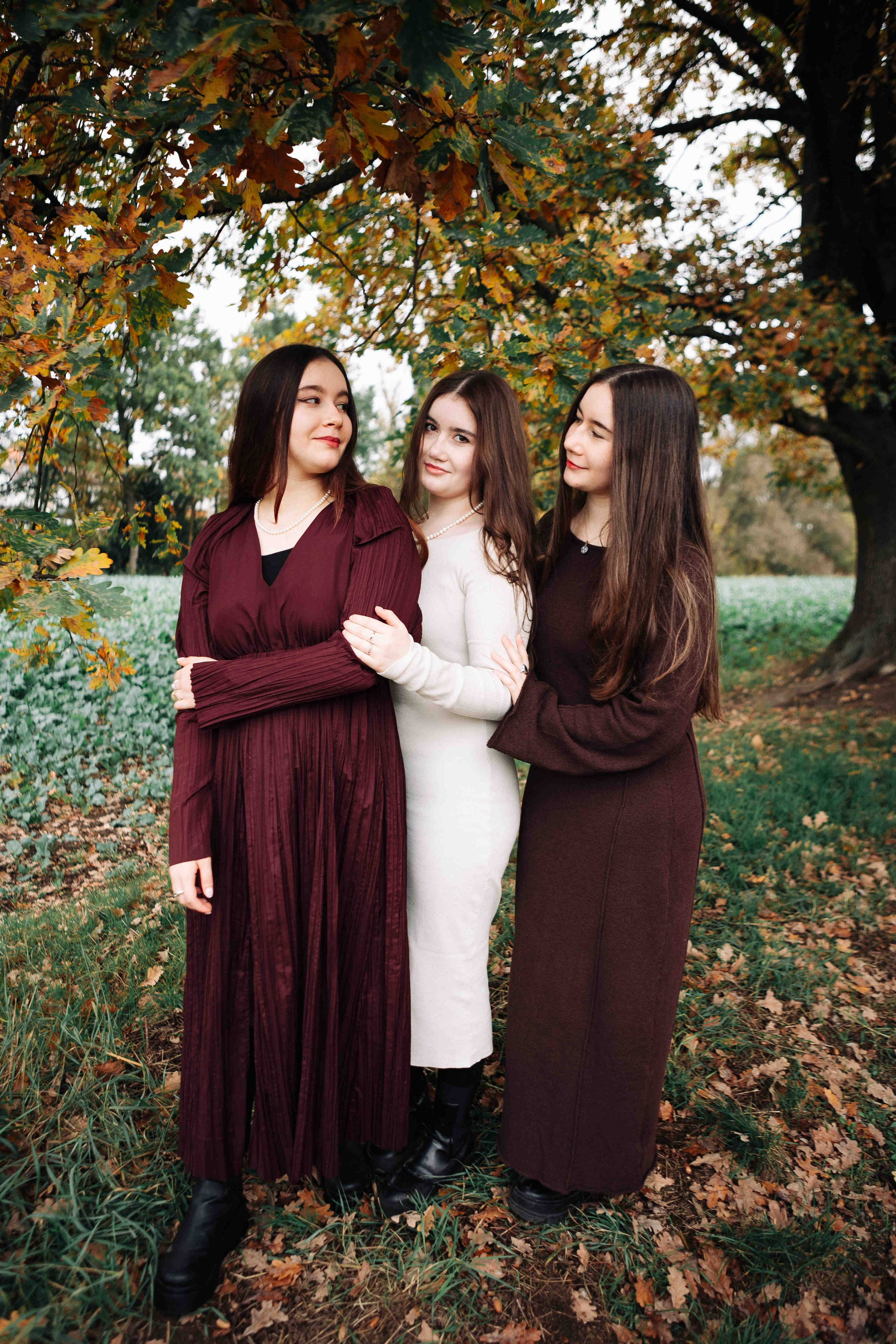 BIG OAK, BIG FAMILY. Https://shi-photo.com/