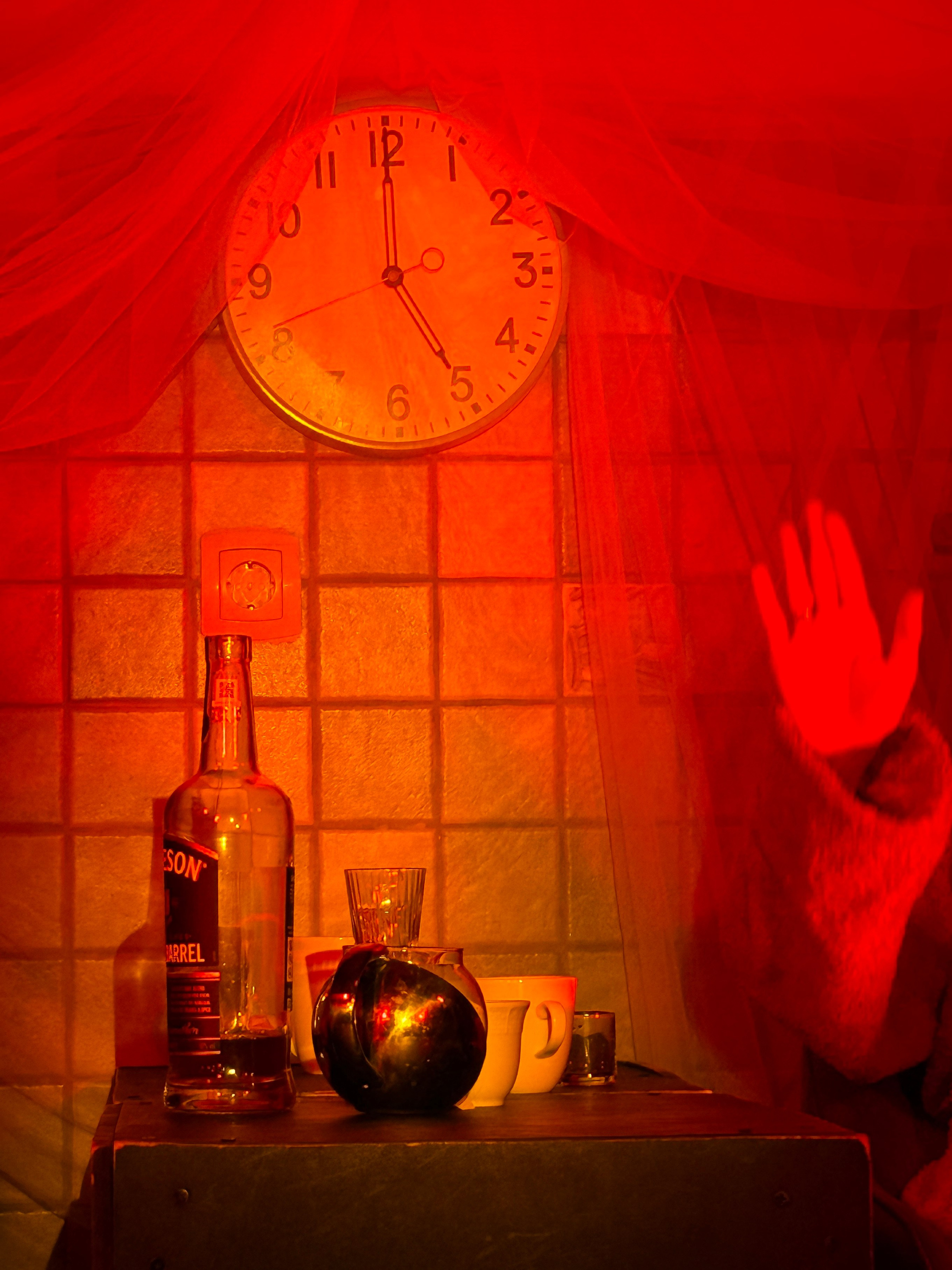 Фоторепортаж вистави у Будві. Портретний фотограф Альона Новгородцева