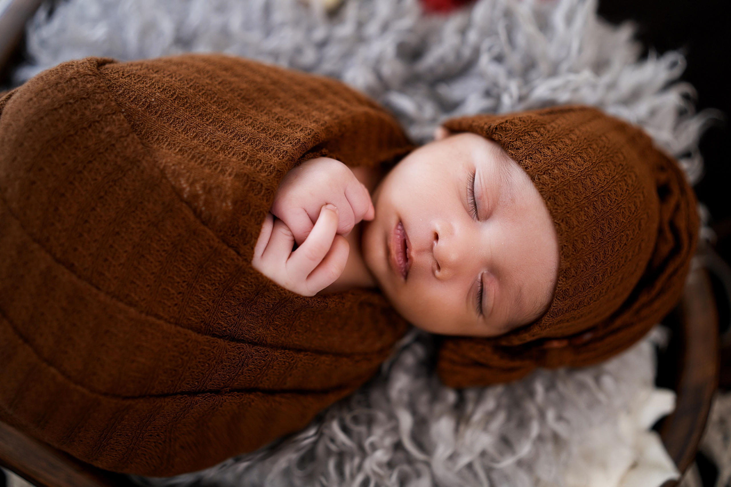 New born. TNF photo & filming