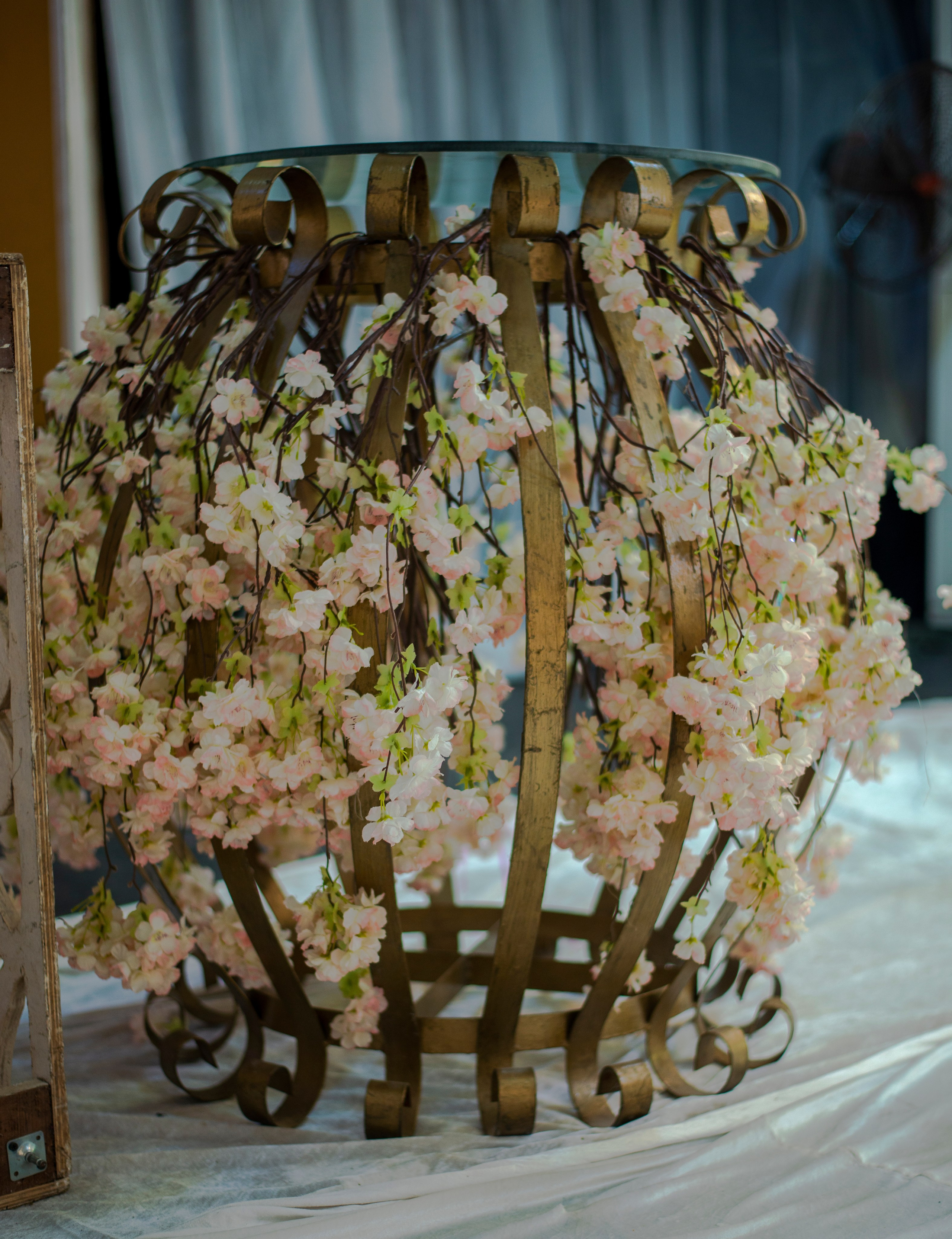 CeeBee01 Events. Portrait & Brand Photographer in Bradford, West Yorkshire