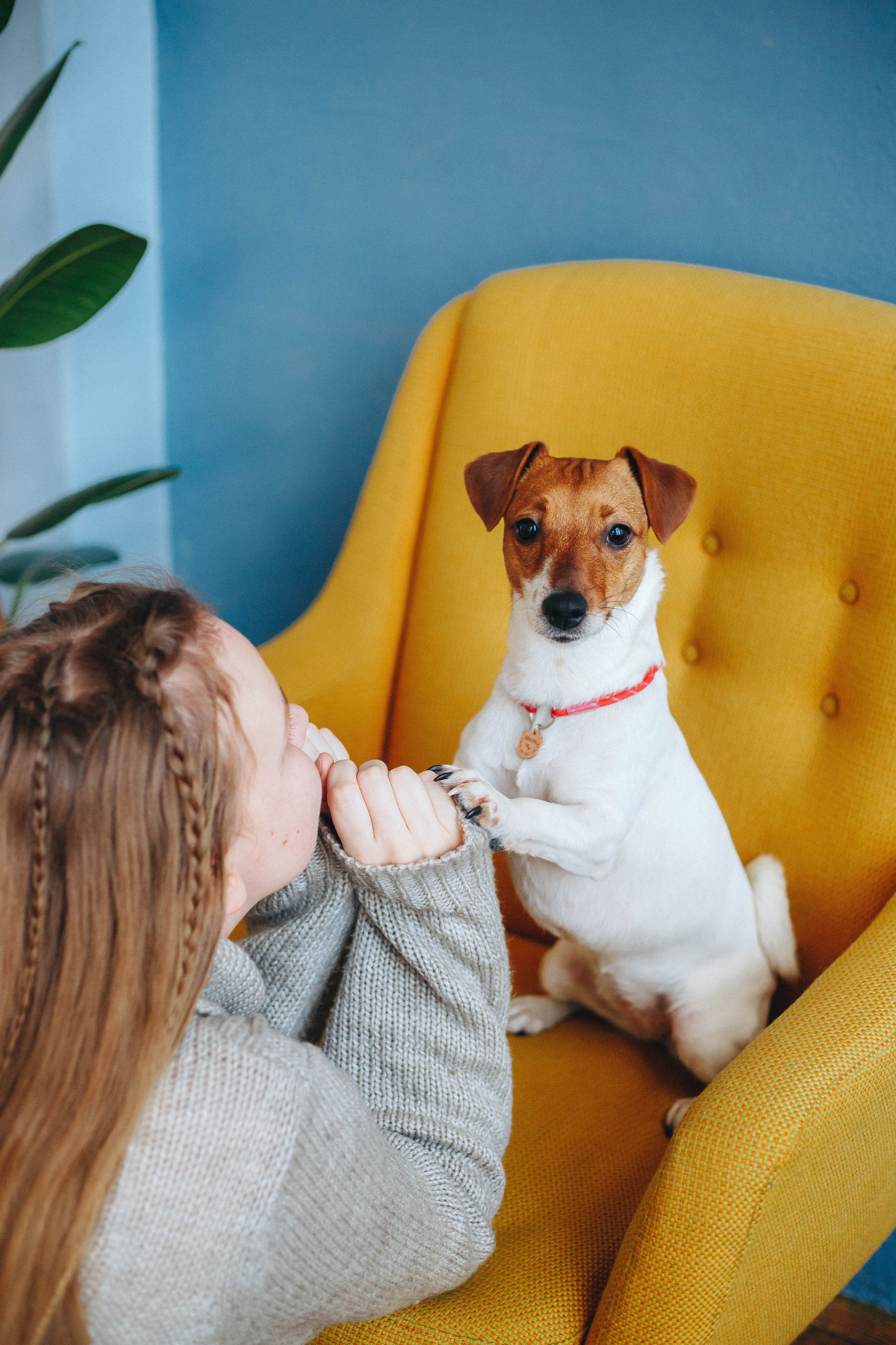 Tasha & Mol’ka. Photographer in Los Angeles. Julia Ishmuratova