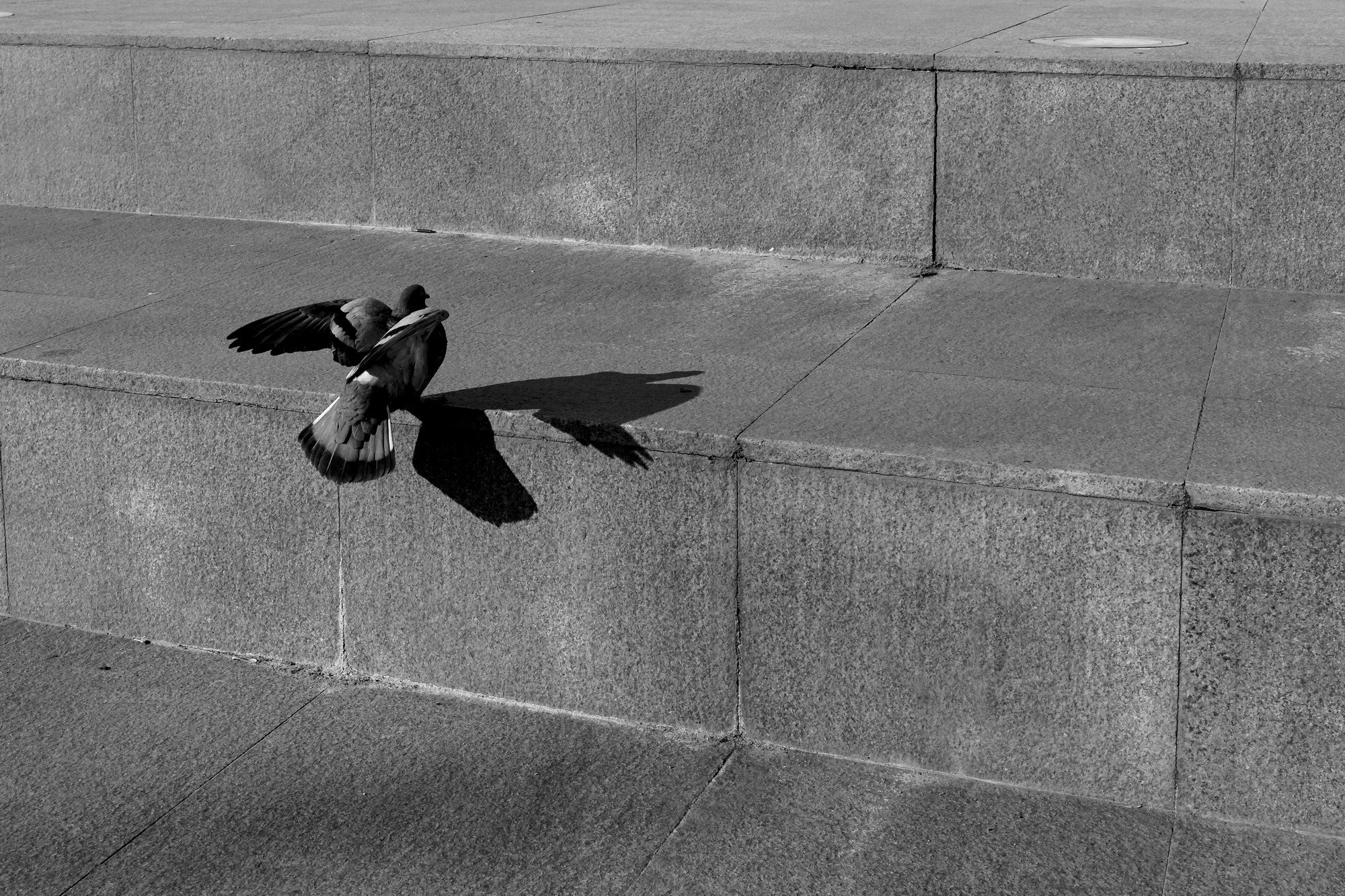 Monochrome. A Creative Insight | Catalin Nastase