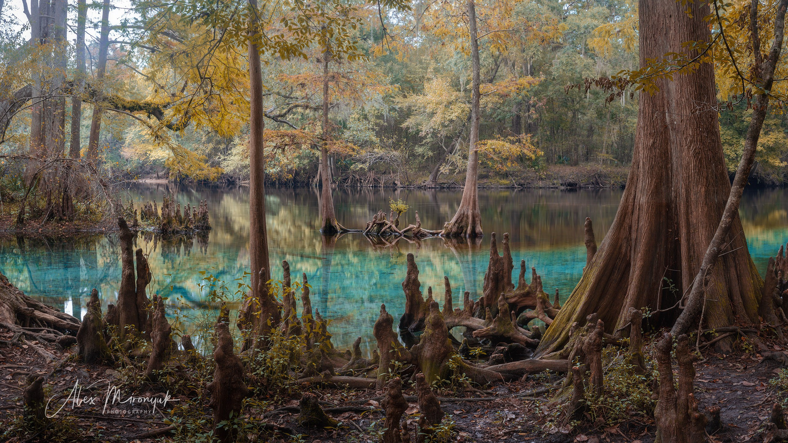 Exploring True Florida: Springs, Rivers & Manatees by Canoe. Pet, Senior, Landscape, portrait studio, photographer in Miami and Sou