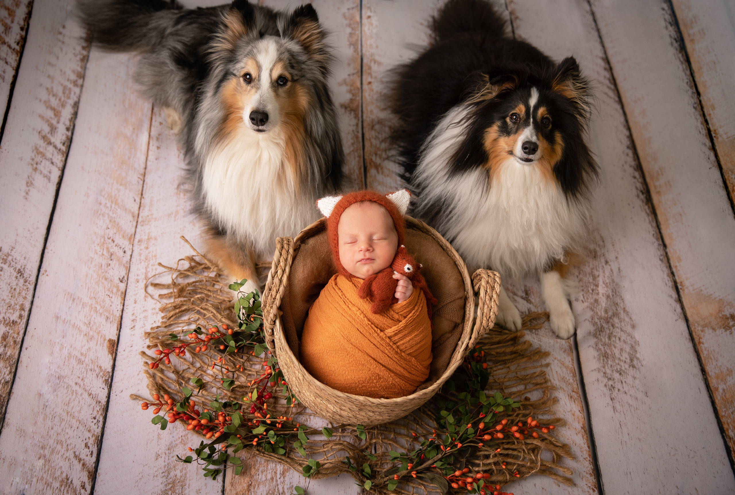 NEWBORN. Valokuvaaja Itä-Uudellamaalla Viktoria photography