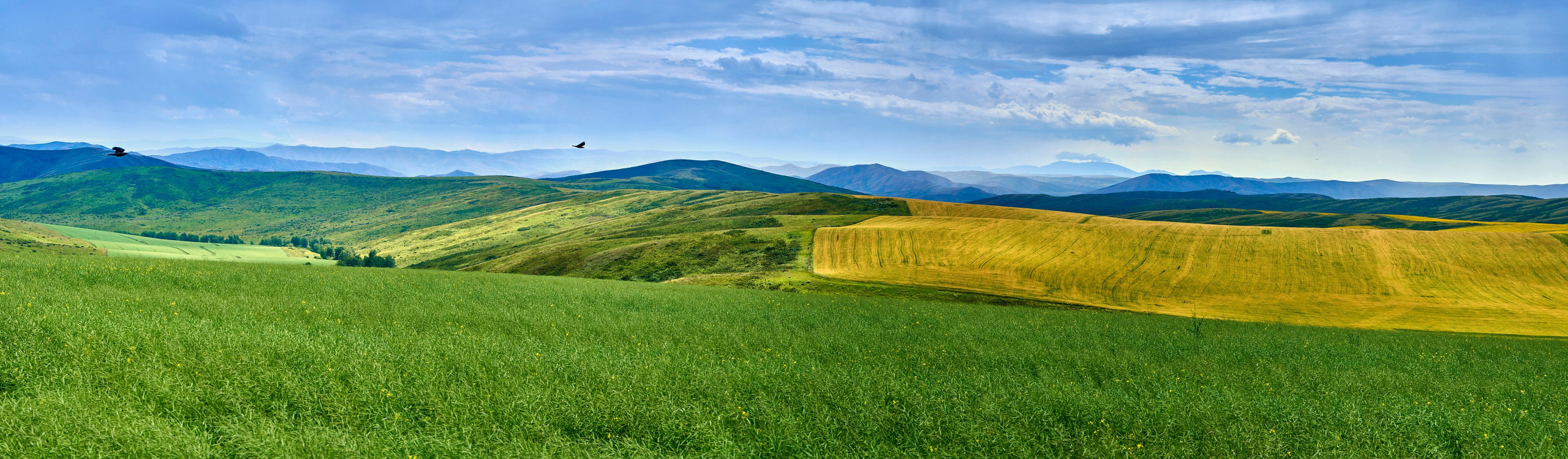 Buchtarma (Kazachstan). Andriej Szypilow - Fotografia & Wideografia