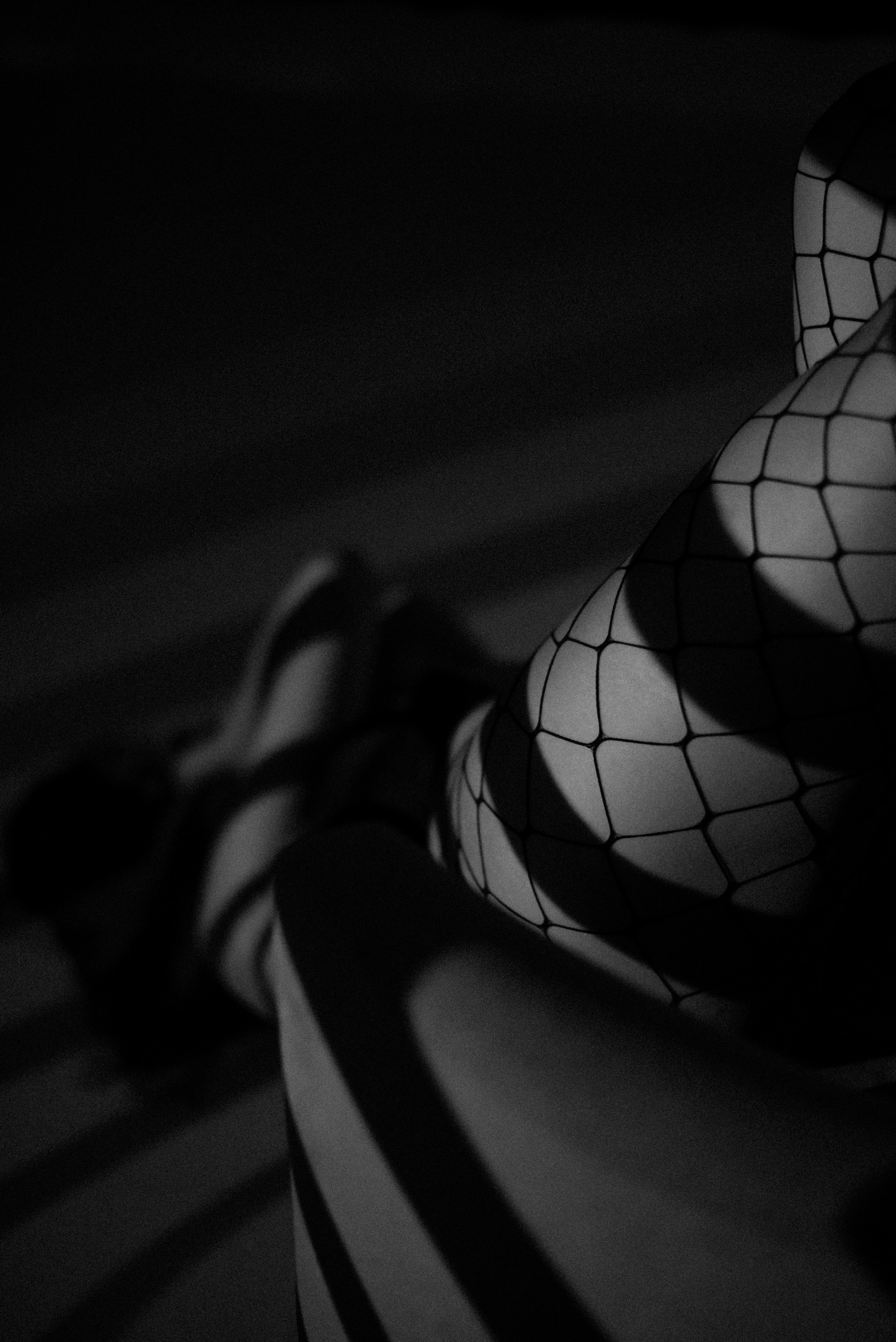 Studio Photo. ST.PHOTO13